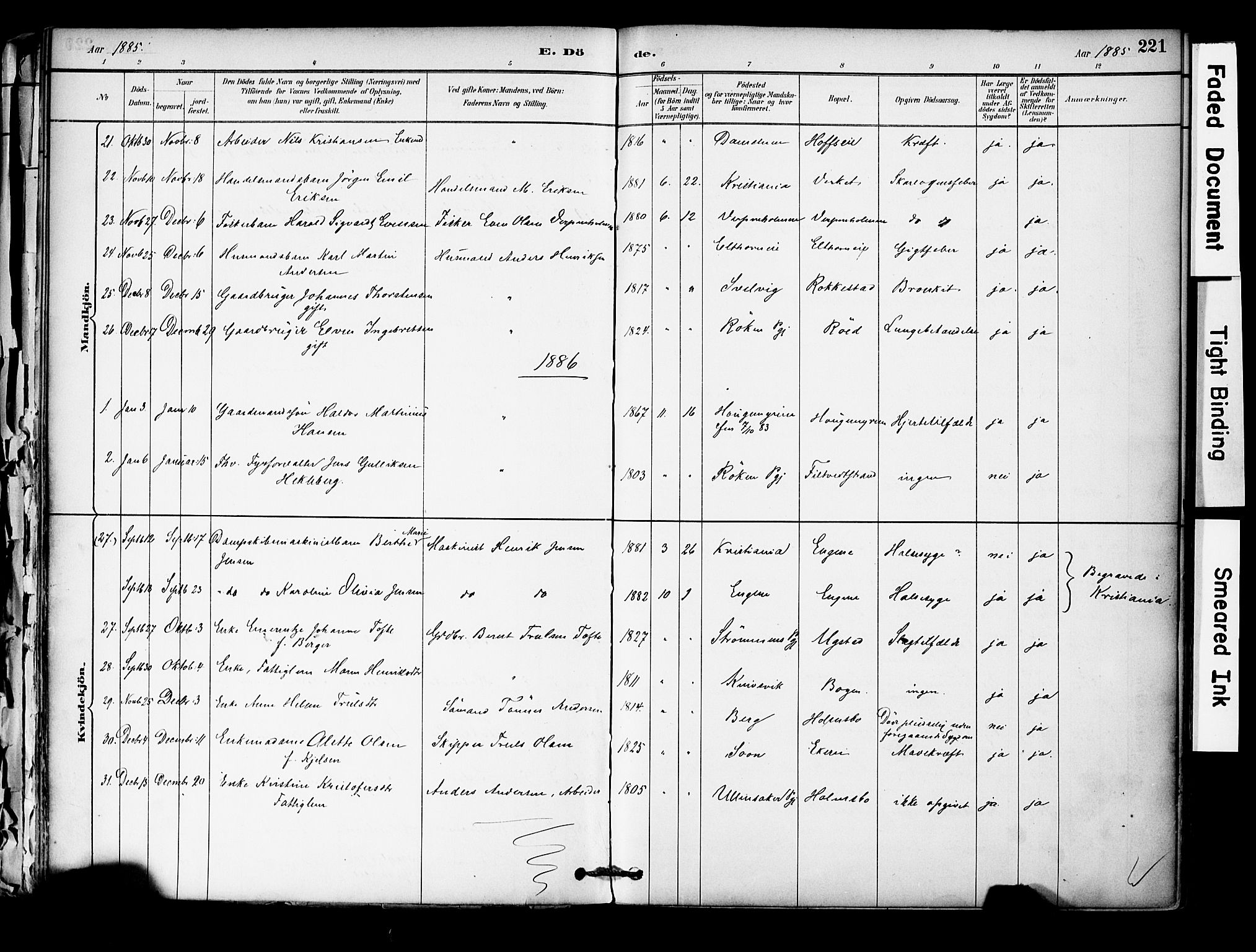 Hurum kirkebøker, AV/SAKO-A-229/F/Fa/L0014: Parish register (official) no. 14, 1882-1895, p. 221