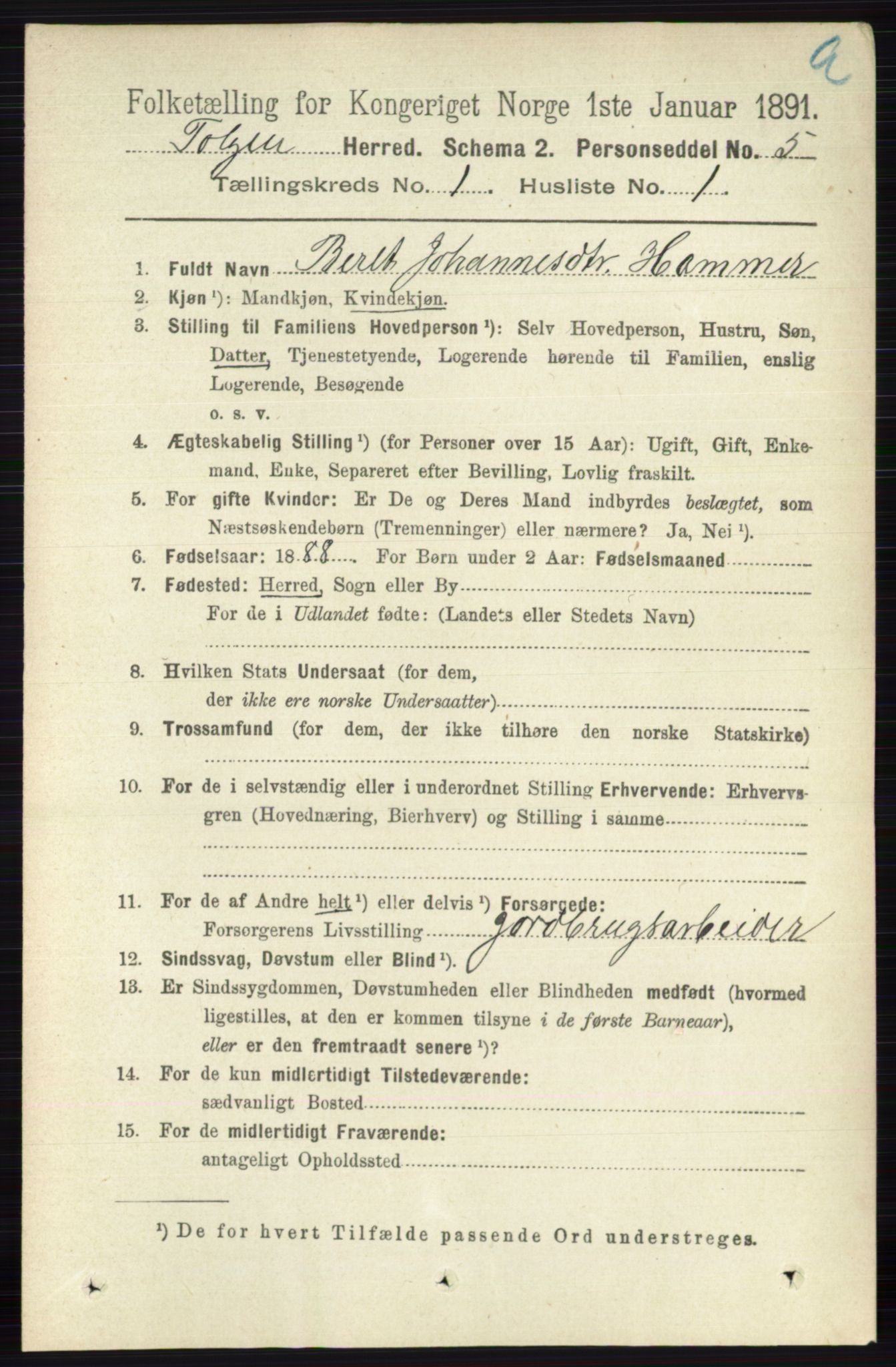 RA, 1891 census for 0436 Tolga, 1891, p. 75