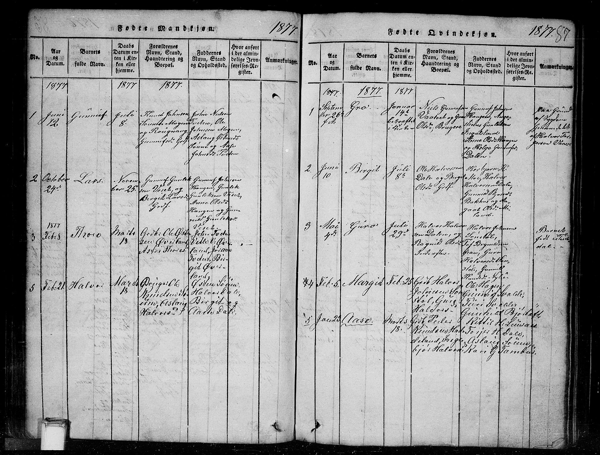 Tinn kirkebøker, SAKO/A-308/G/Gc/L0001: Parish register (copy) no. III 1, 1815-1879, p. 87