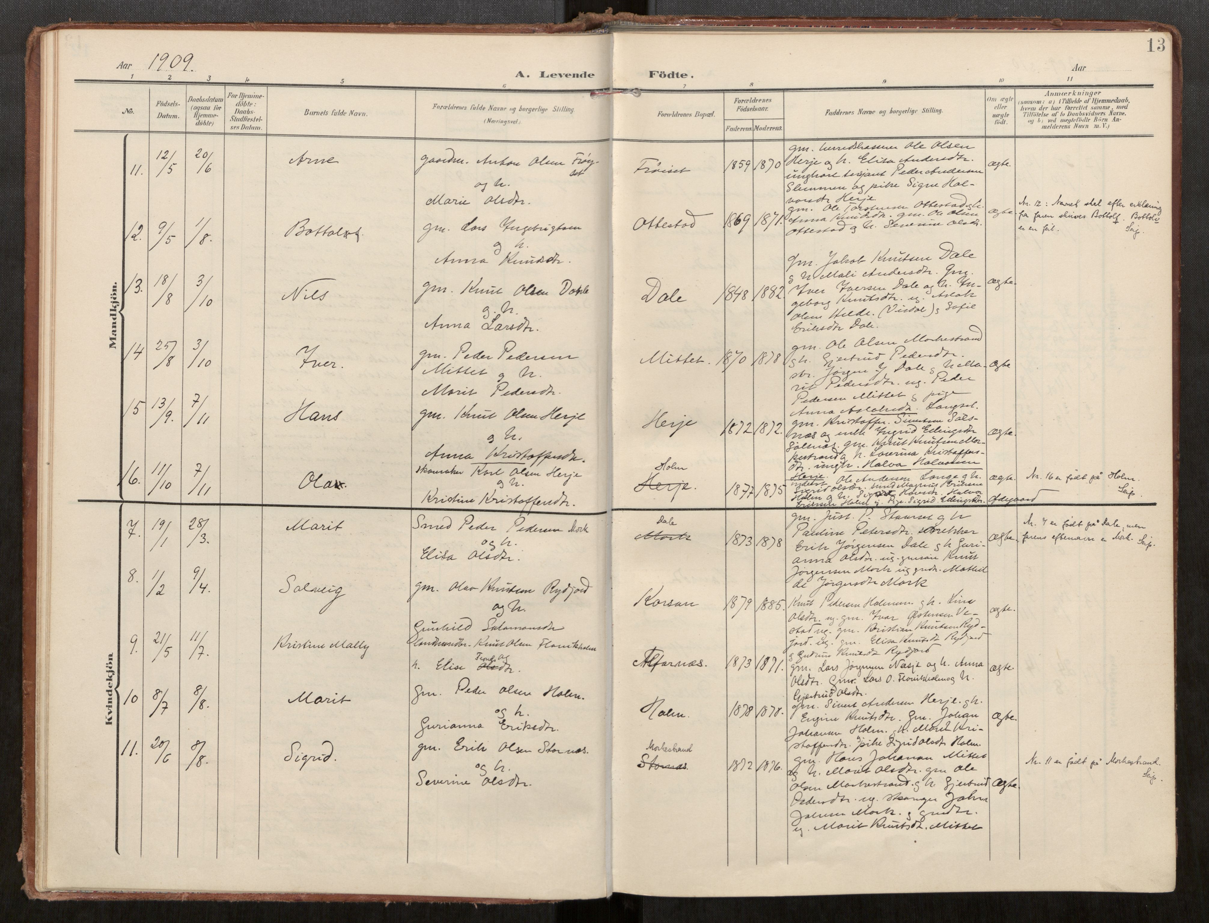 Ministerialprotokoller, klokkerbøker og fødselsregistre - Møre og Romsdal, AV/SAT-A-1454/549/L0618: Parish register (official) no. 549A01, 1906-1927, p. 13