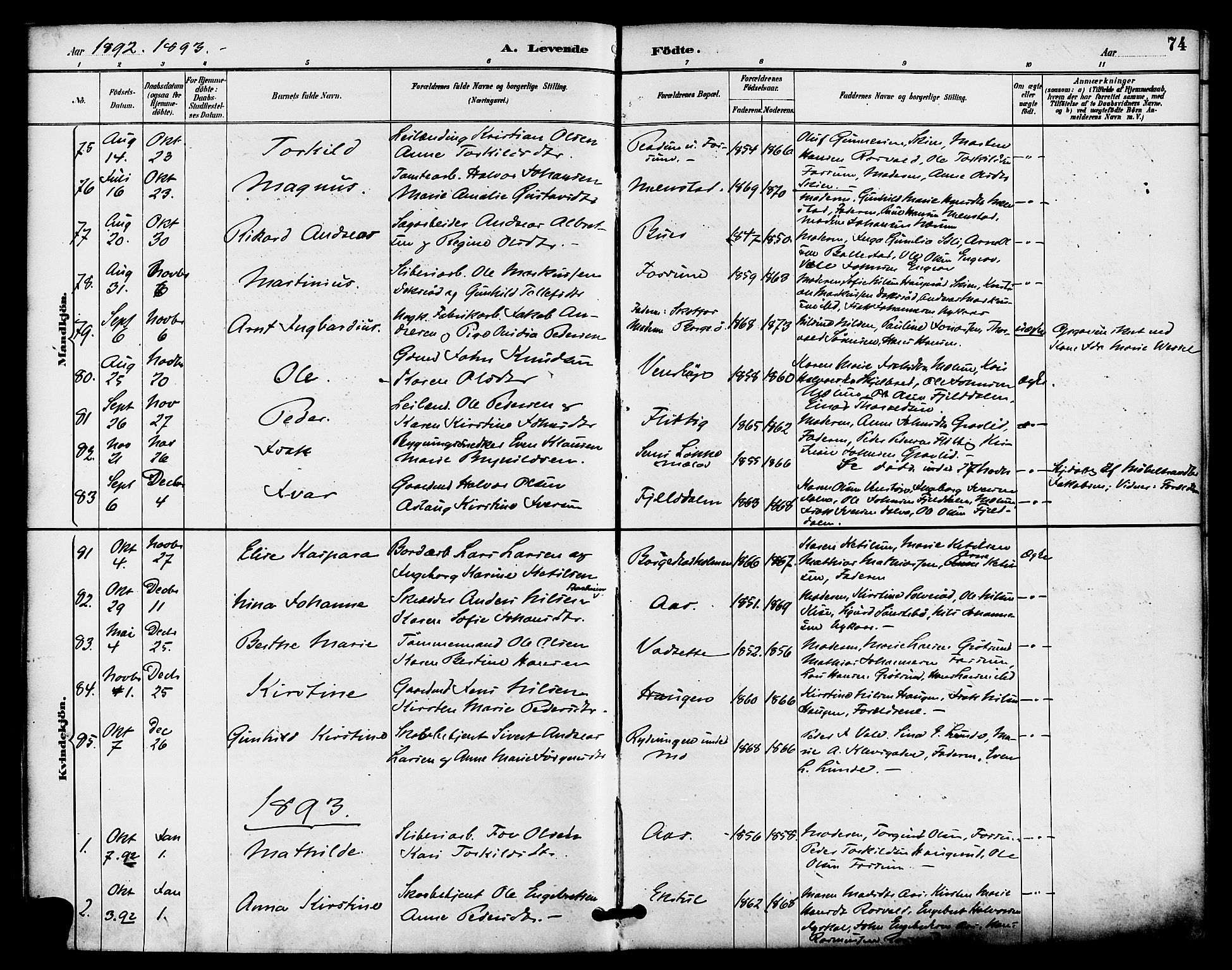 Gjerpen kirkebøker, SAKO/A-265/F/Fa/L0010: Parish register (official) no. I 10, 1886-1895, p. 74