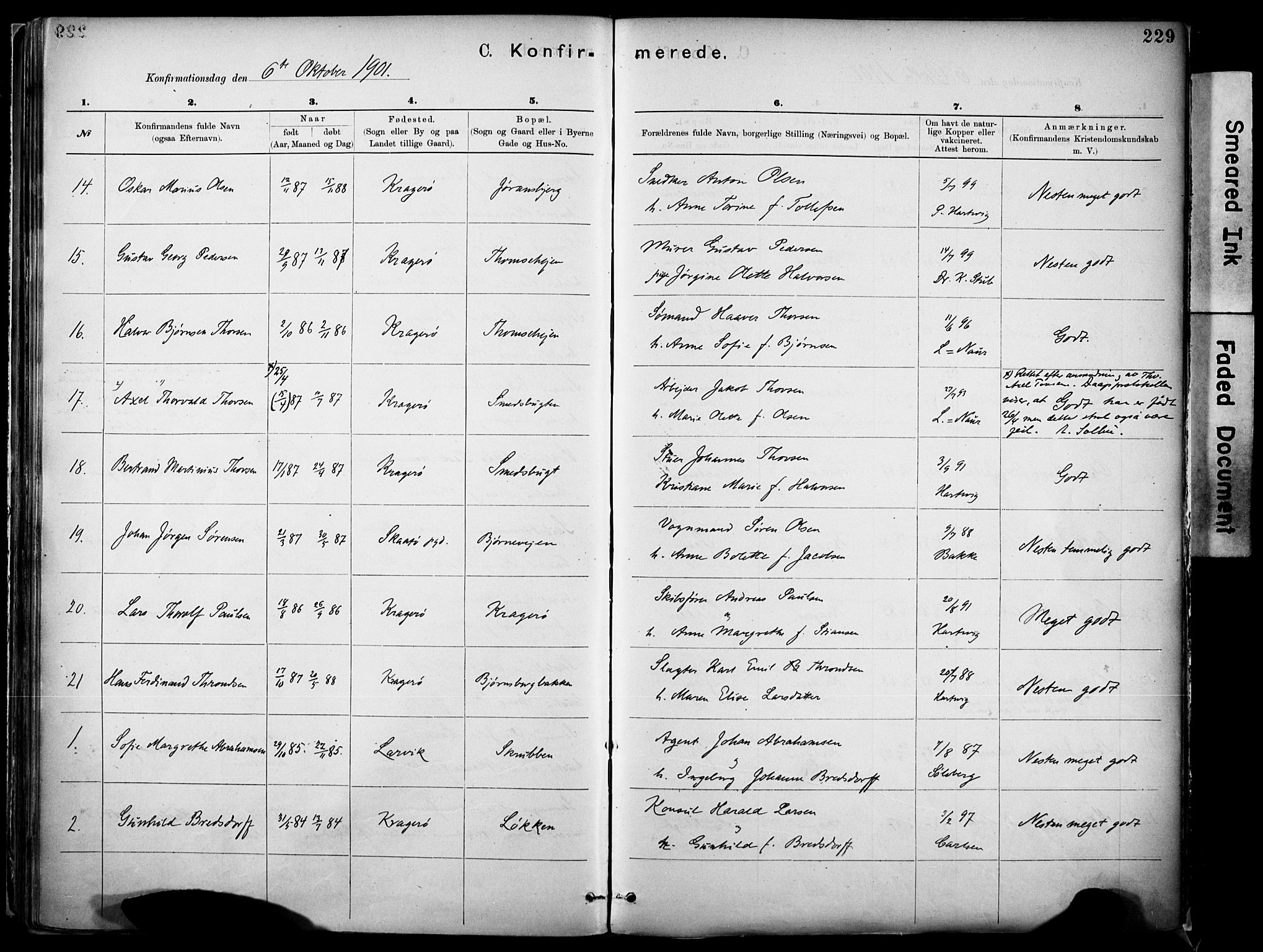 Kragerø kirkebøker, SAKO/A-278/F/Fa/L0012: Parish register (official) no. 12, 1880-1904, p. 229