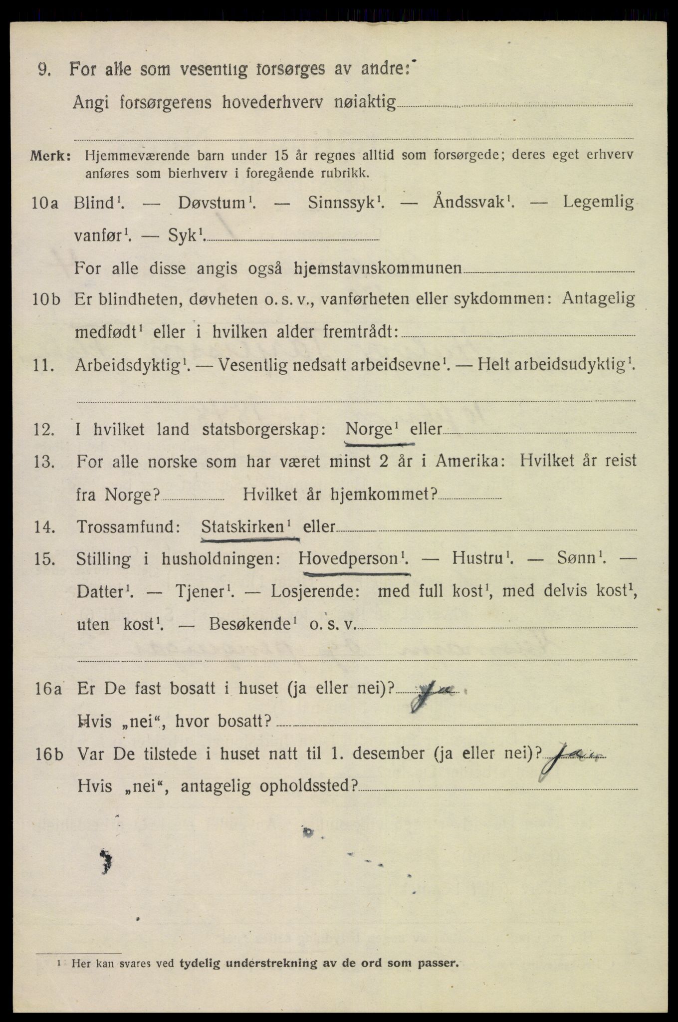 SAK, 1920 census for Valle, 1920, p. 2532