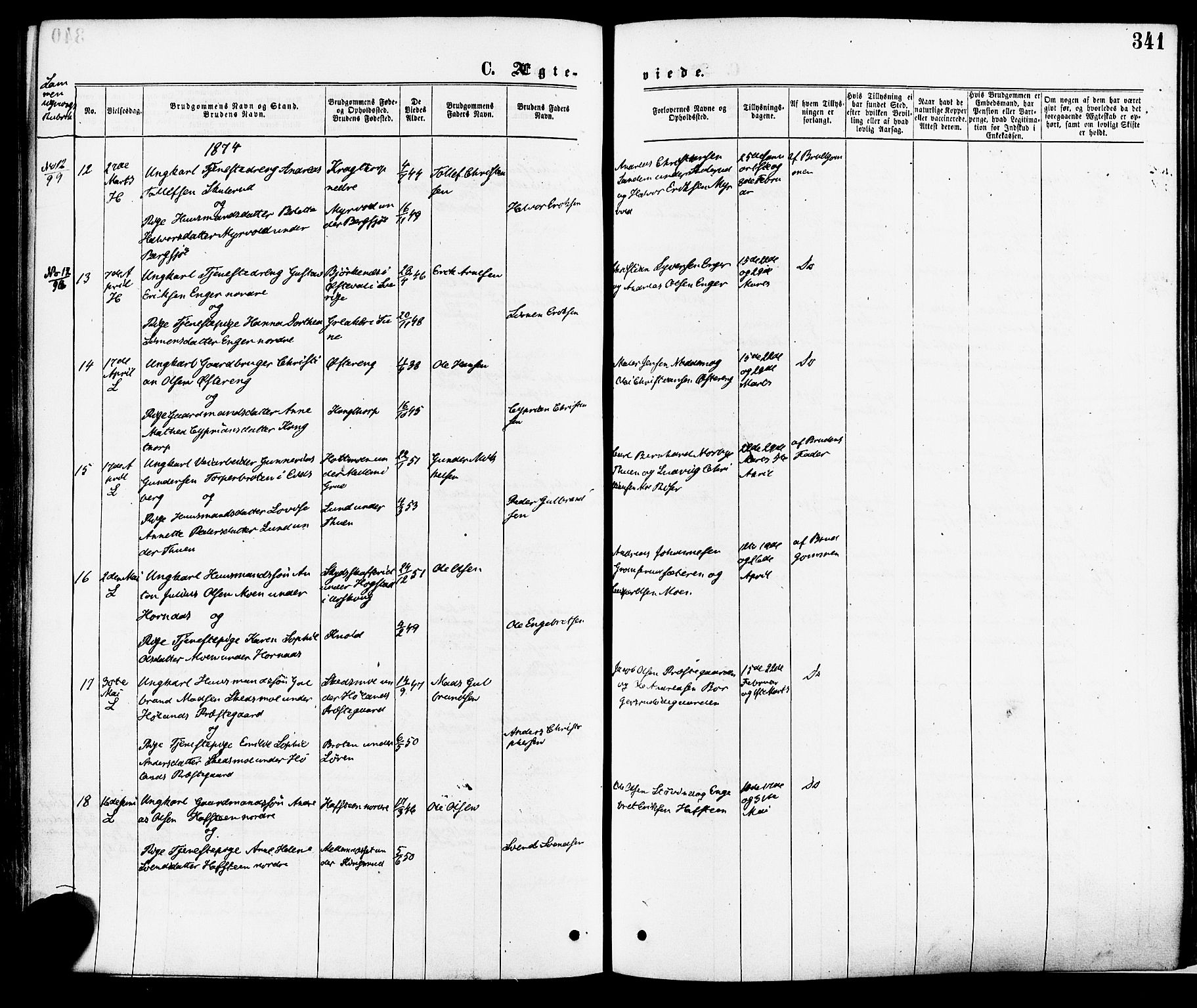 Høland prestekontor Kirkebøker, SAO/A-10346a/F/Fa/L0012.a: Parish register (official) no. I 12A, 1869-1879, p. 341