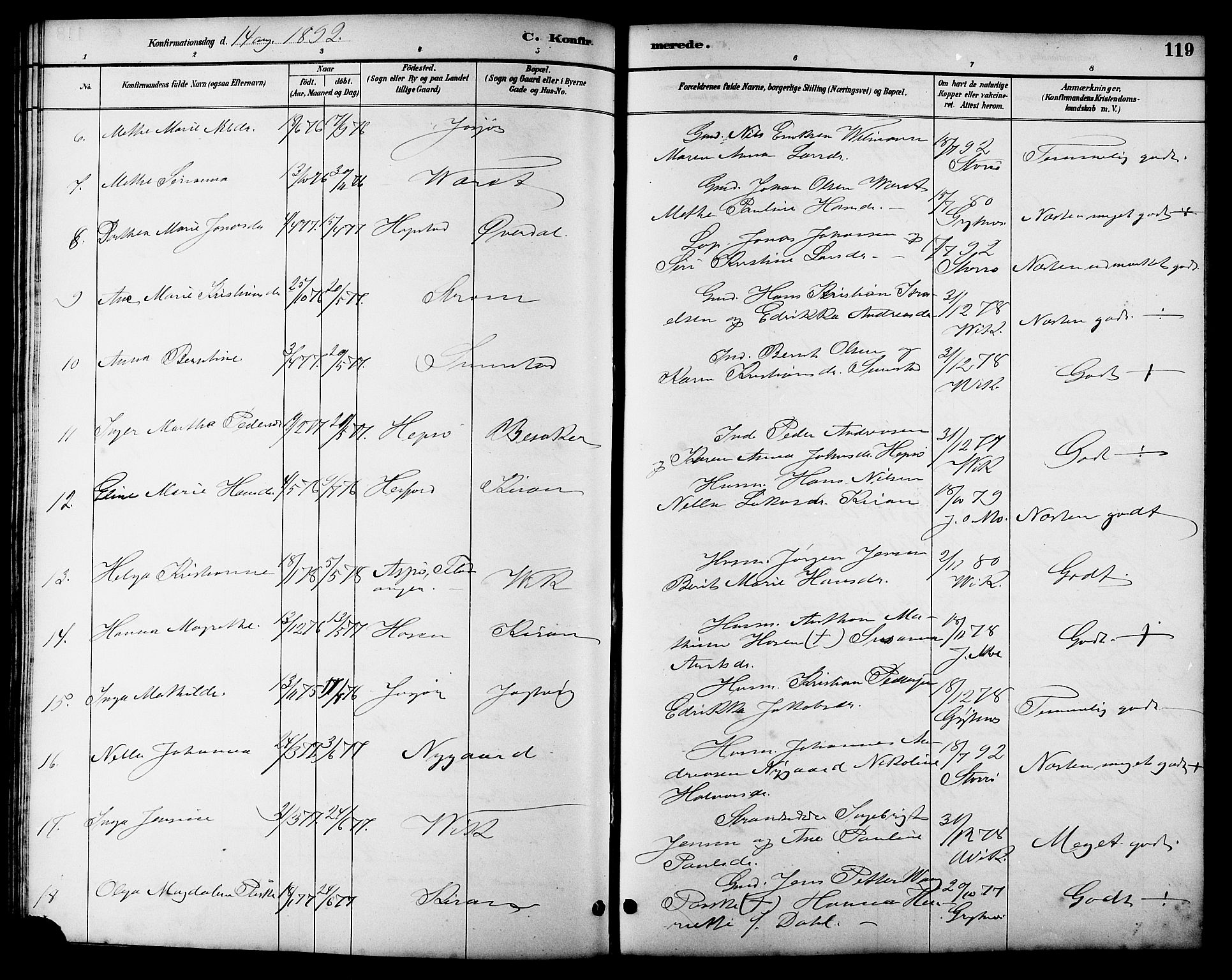 Ministerialprotokoller, klokkerbøker og fødselsregistre - Sør-Trøndelag, AV/SAT-A-1456/657/L0716: Parish register (copy) no. 657C03, 1889-1904, p. 119