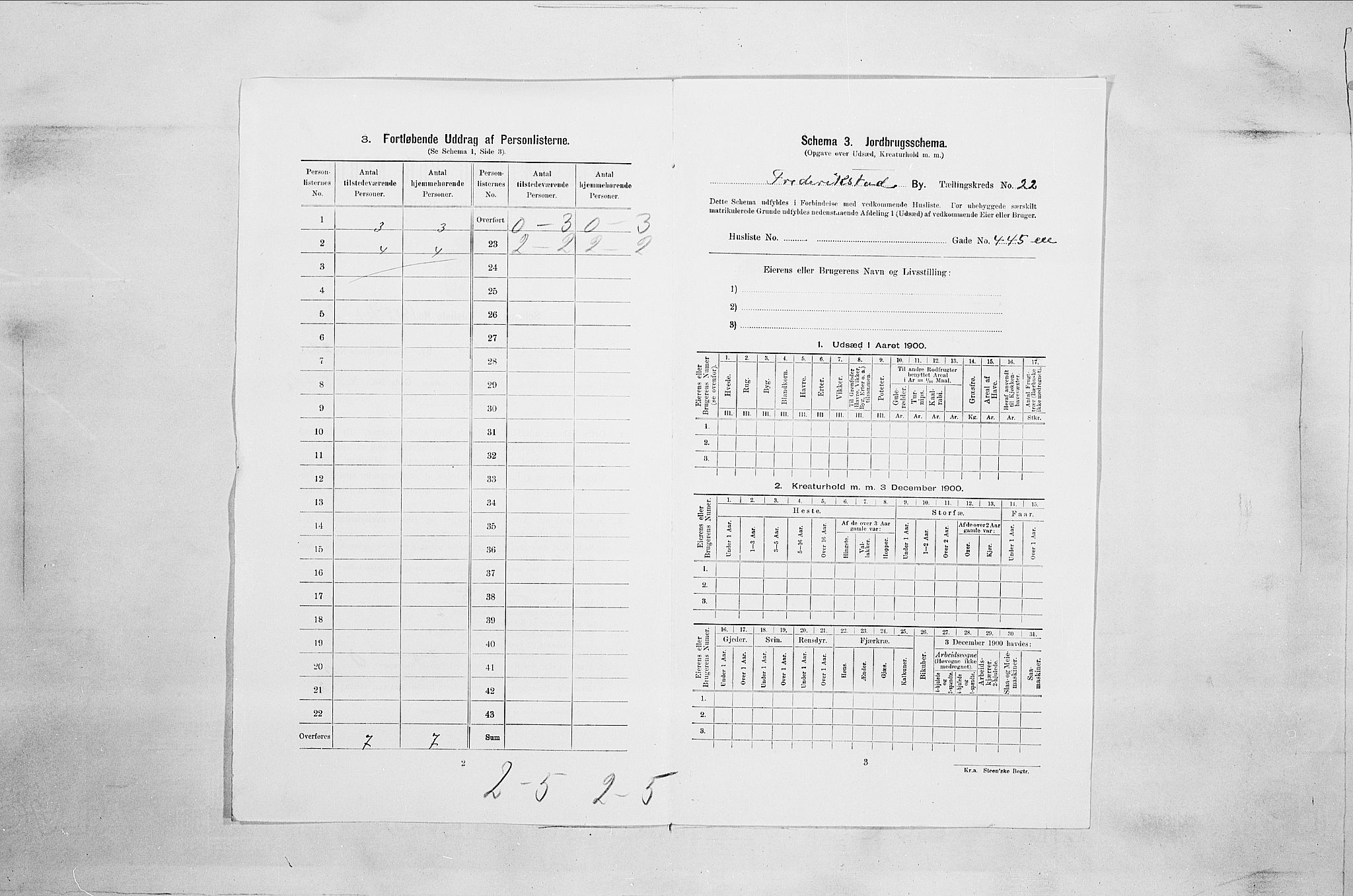 SAO, 1900 census for Fredrikstad, 1900