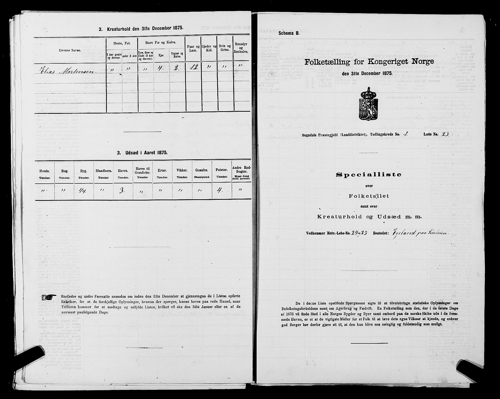 SAST, 1875 census for 1111L Sokndal/Sokndal, 1875, p. 100