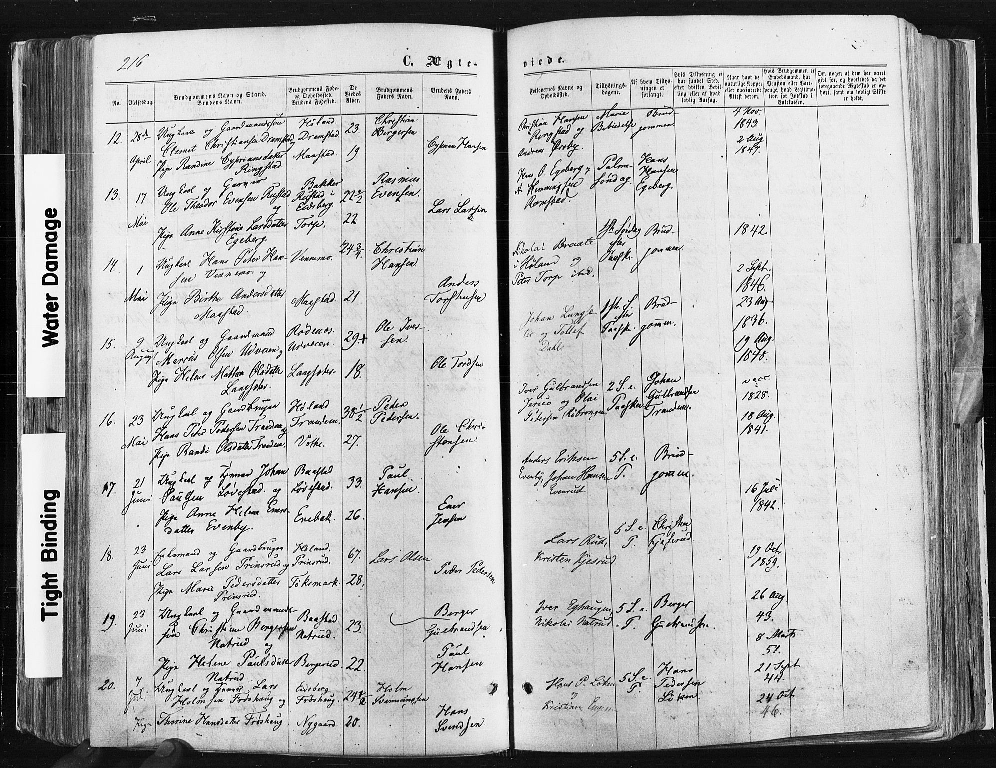 Trøgstad prestekontor Kirkebøker, SAO/A-10925/F/Fa/L0009: Parish register (official) no. I 9, 1865-1877, p. 216
