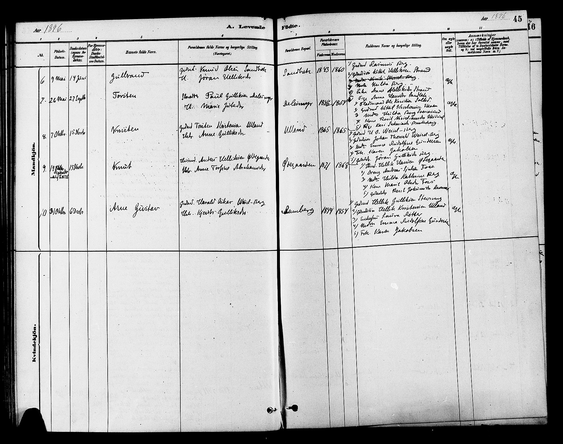 Flesberg kirkebøker, AV/SAKO-A-18/F/Fb/L0001: Parish register (official) no. II 1, 1879-1907, p. 45