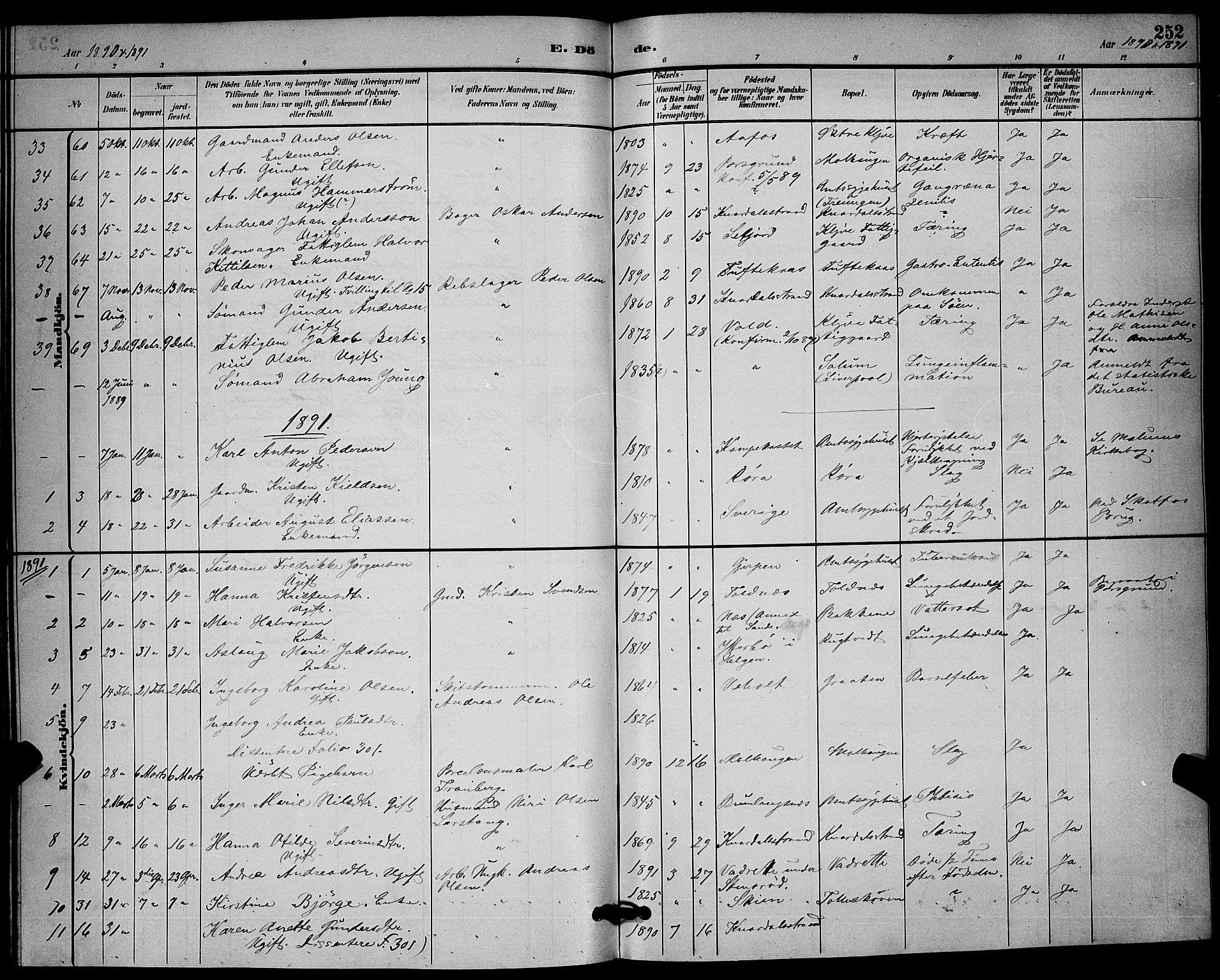 Solum kirkebøker, SAKO/A-306/G/Ga/L0007: Parish register (copy) no. I 7, 1884-1898, p. 252