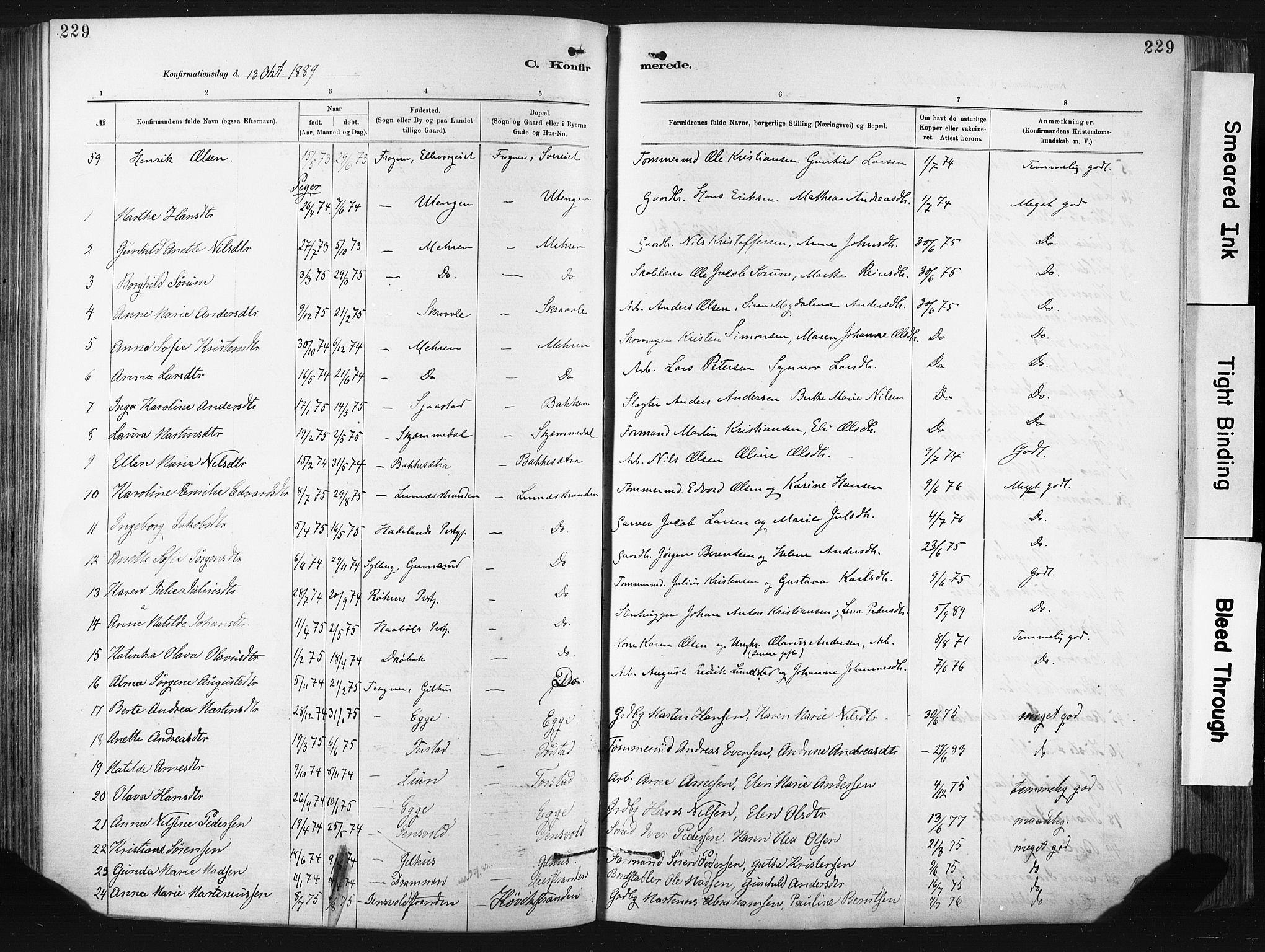 Lier kirkebøker, SAKO/A-230/F/Fa/L0015: Parish register (official) no. I 15, 1883-1894, p. 229