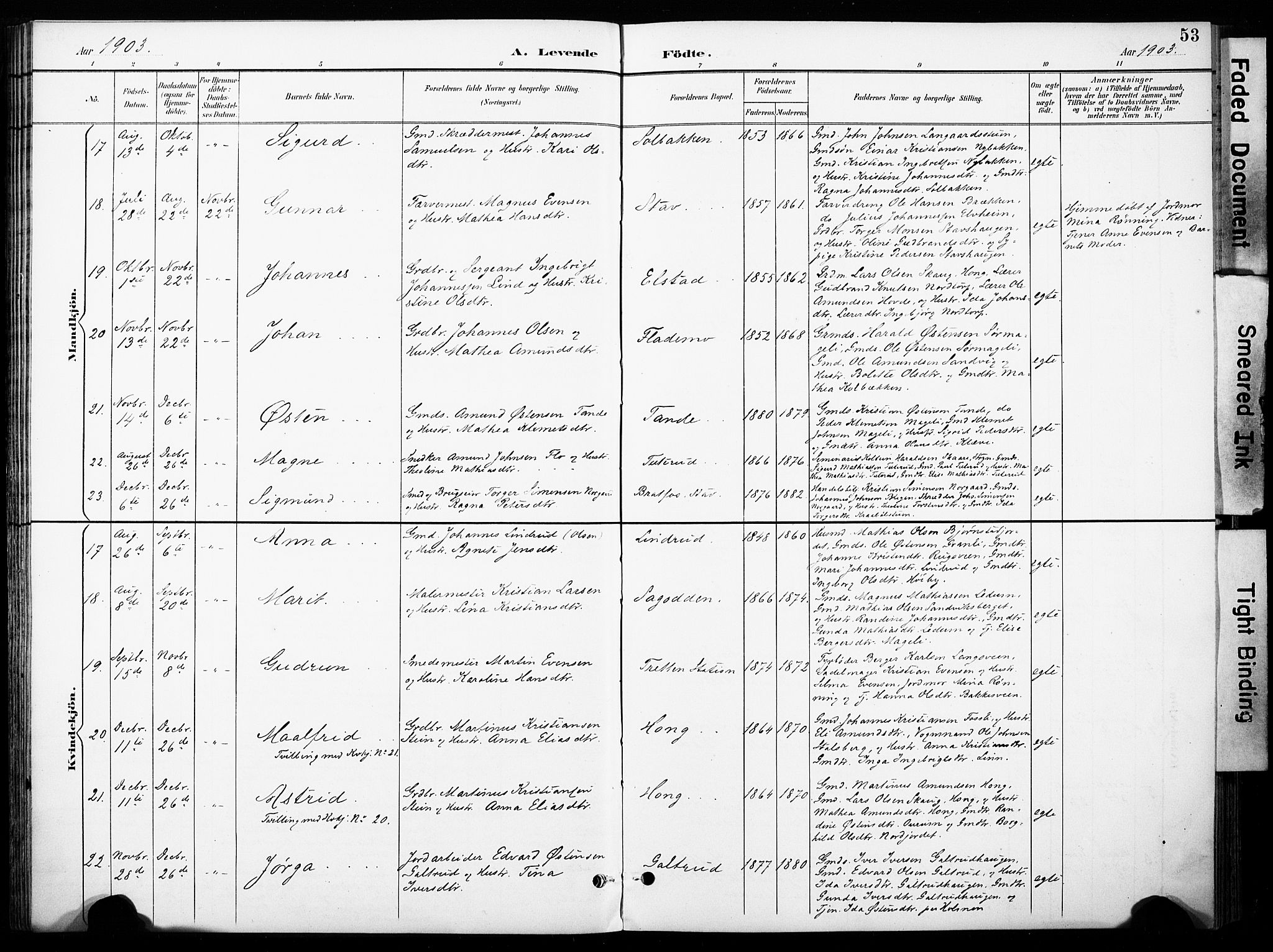 Øyer prestekontor, AV/SAH-PREST-084/H/Ha/Haa/L0011: Parish register (official) no. 11, 1894-1905, p. 53