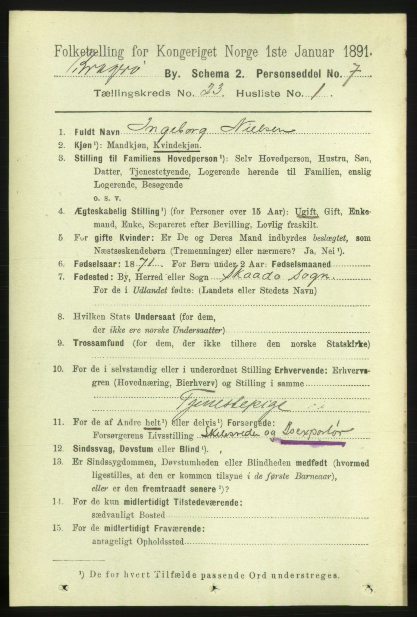 RA, 1891 census for 0801 Kragerø, 1891, p. 4884