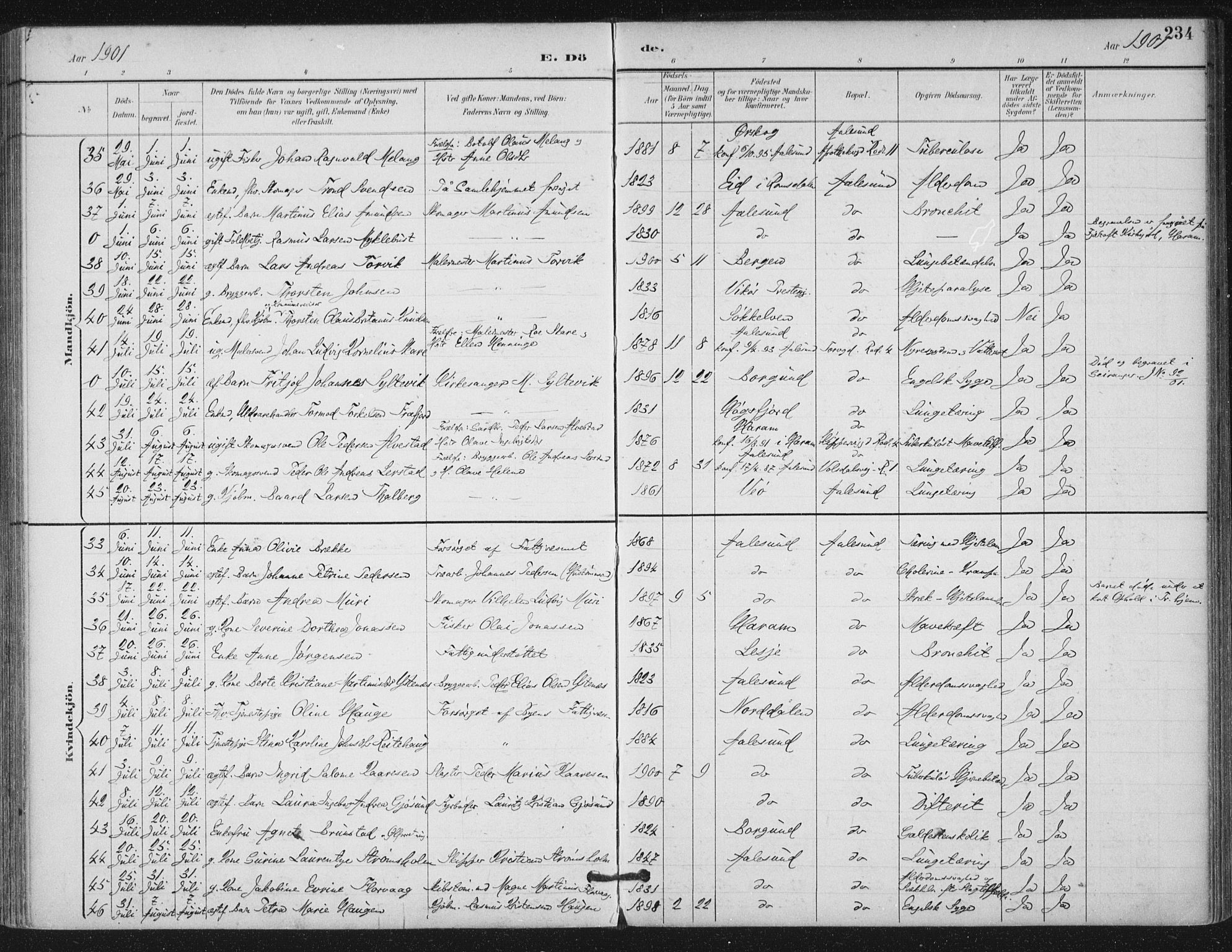 Ministerialprotokoller, klokkerbøker og fødselsregistre - Møre og Romsdal, AV/SAT-A-1454/529/L0457: Parish register (official) no. 529A07, 1894-1903, p. 234