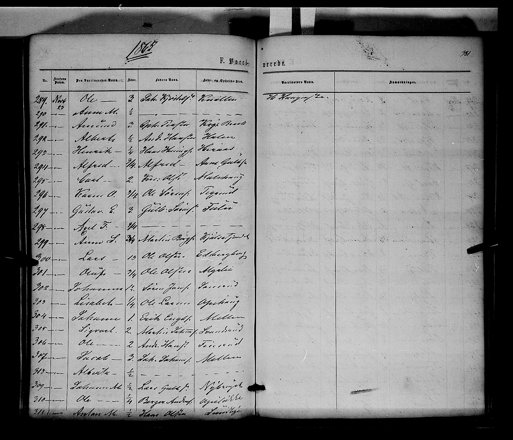 Sør-Odal prestekontor, AV/SAH-PREST-030/H/Ha/Haa/L0003: Parish register (official) no. 3, 1864-1870, p. 381