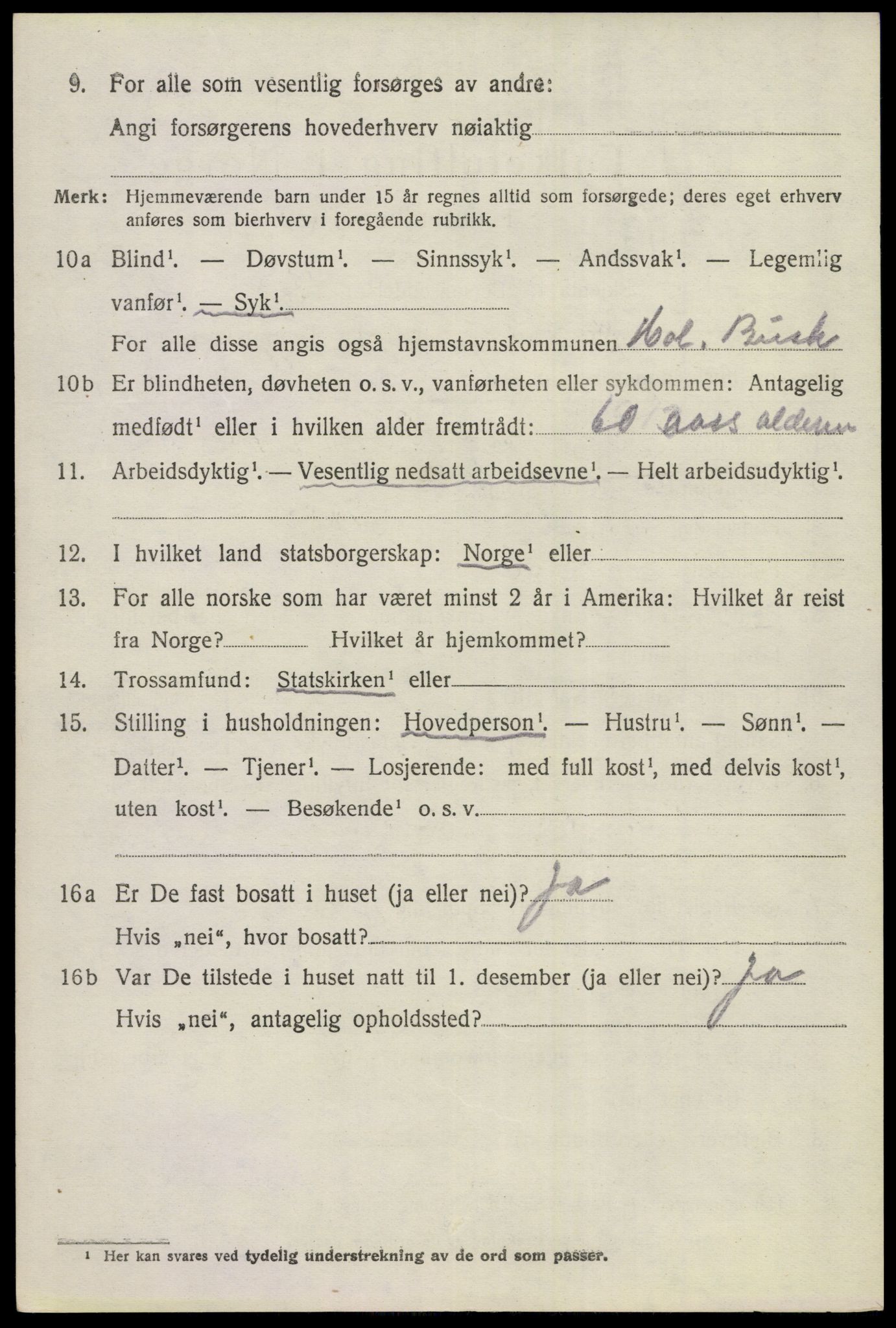 SAKO, 1920 census for Hol (Buskerud), 1920, p. 864