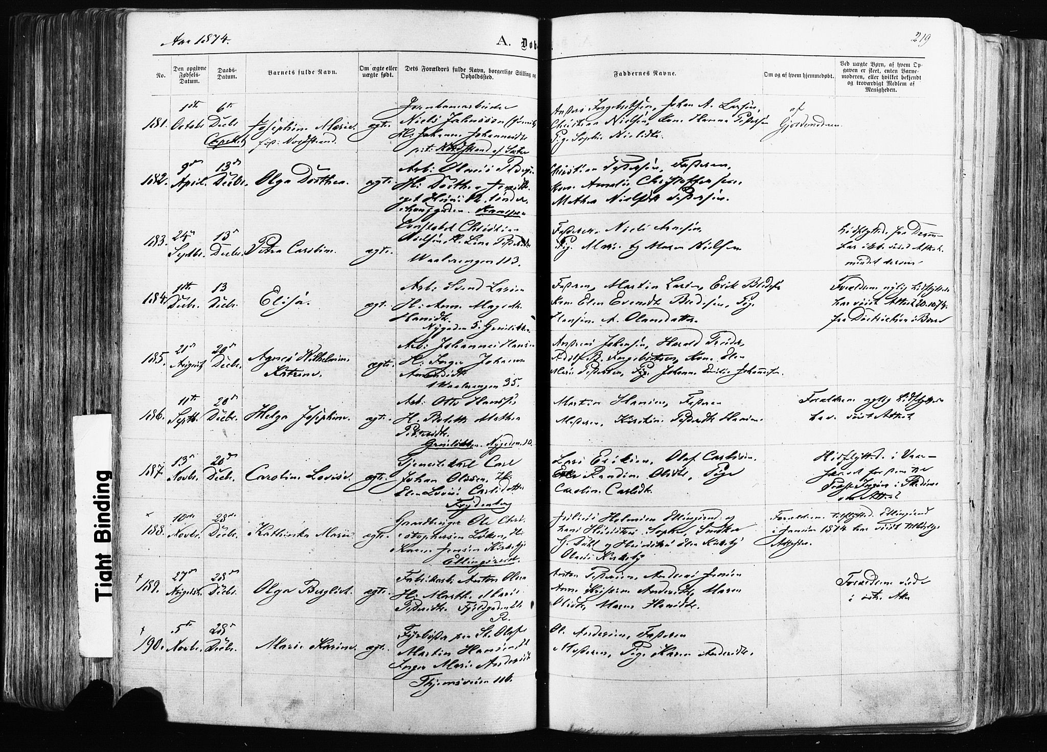 Østre Aker prestekontor Kirkebøker, AV/SAO-A-10840/F/Fa/L0003: Parish register (official) no. I 3, 1869-1875, p. 219