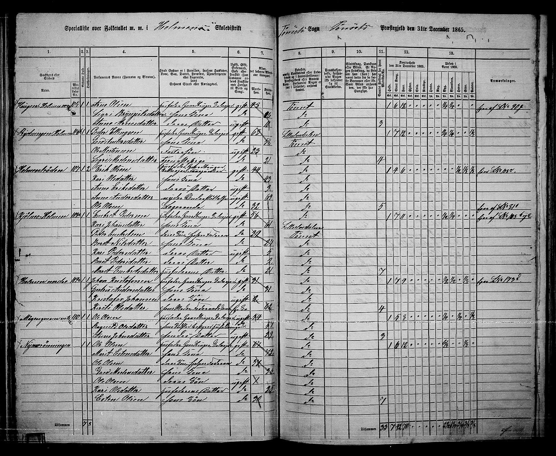 RA, 1865 census for Tynset, 1865, p. 56