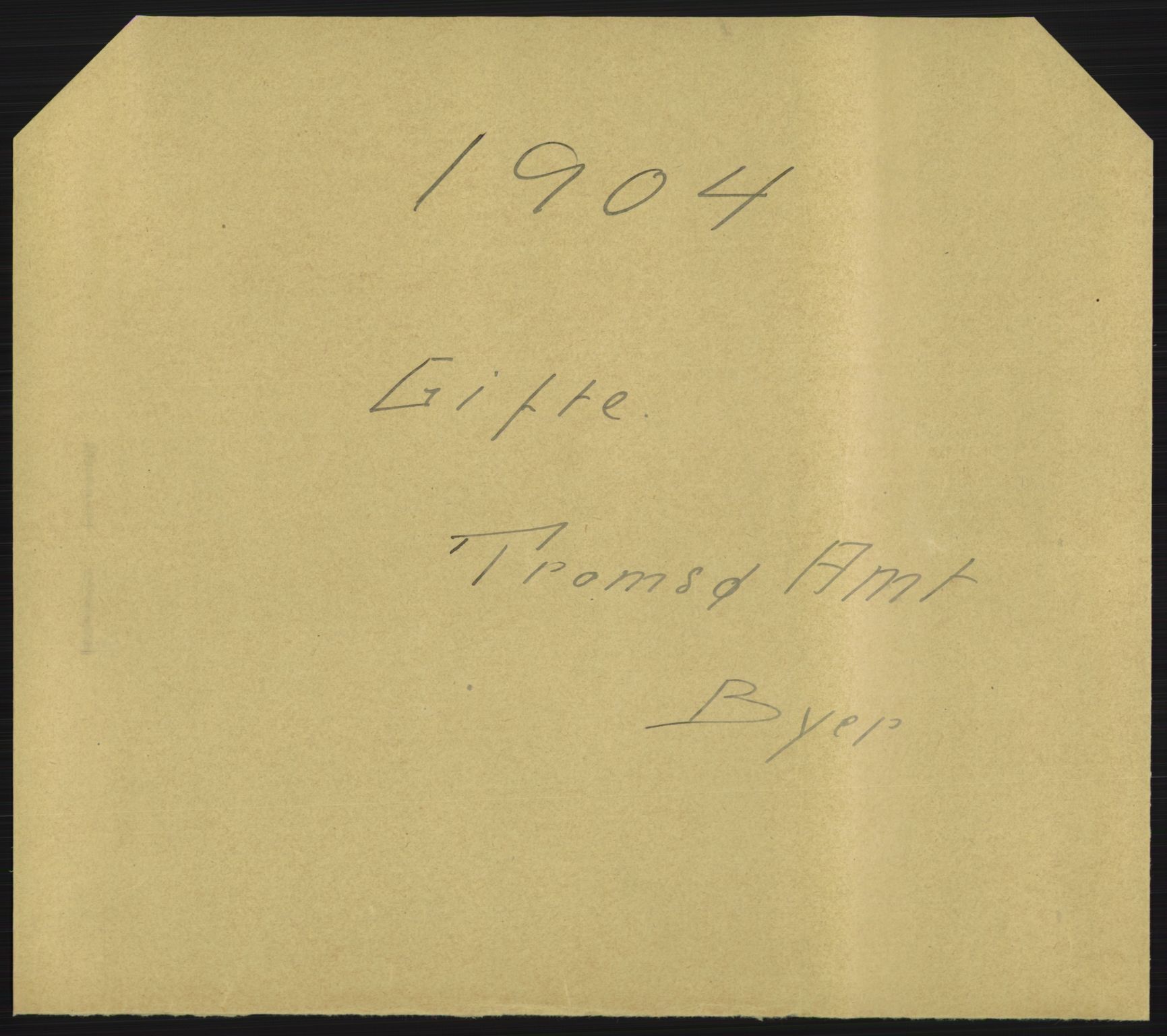 Statistisk sentralbyrå, Sosiodemografiske emner, Befolkning, AV/RA-S-2228/D/Df/Dfa/Dfab/L0022: Tromsø amt: Fødte, gifte, døde, 1904, p. 371