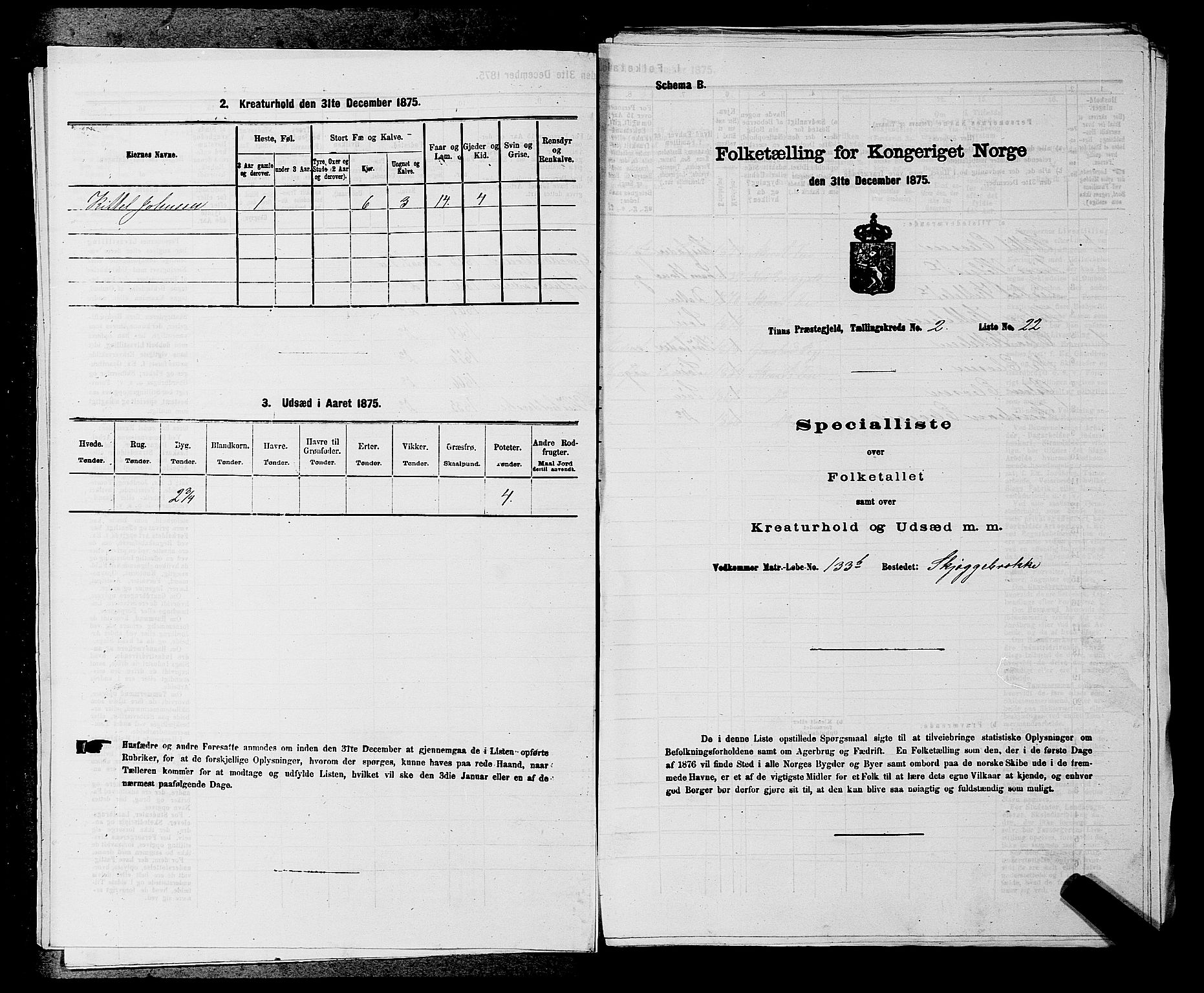 SAKO, 1875 census for 0826P Tinn, 1875, p. 210