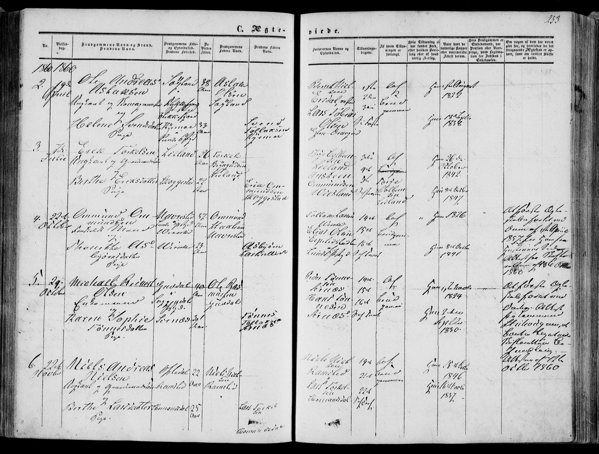 Bakke sokneprestkontor, AV/SAK-1111-0002/F/Fa/Faa/L0006: Parish register (official) no. A 6, 1855-1877, p. 253