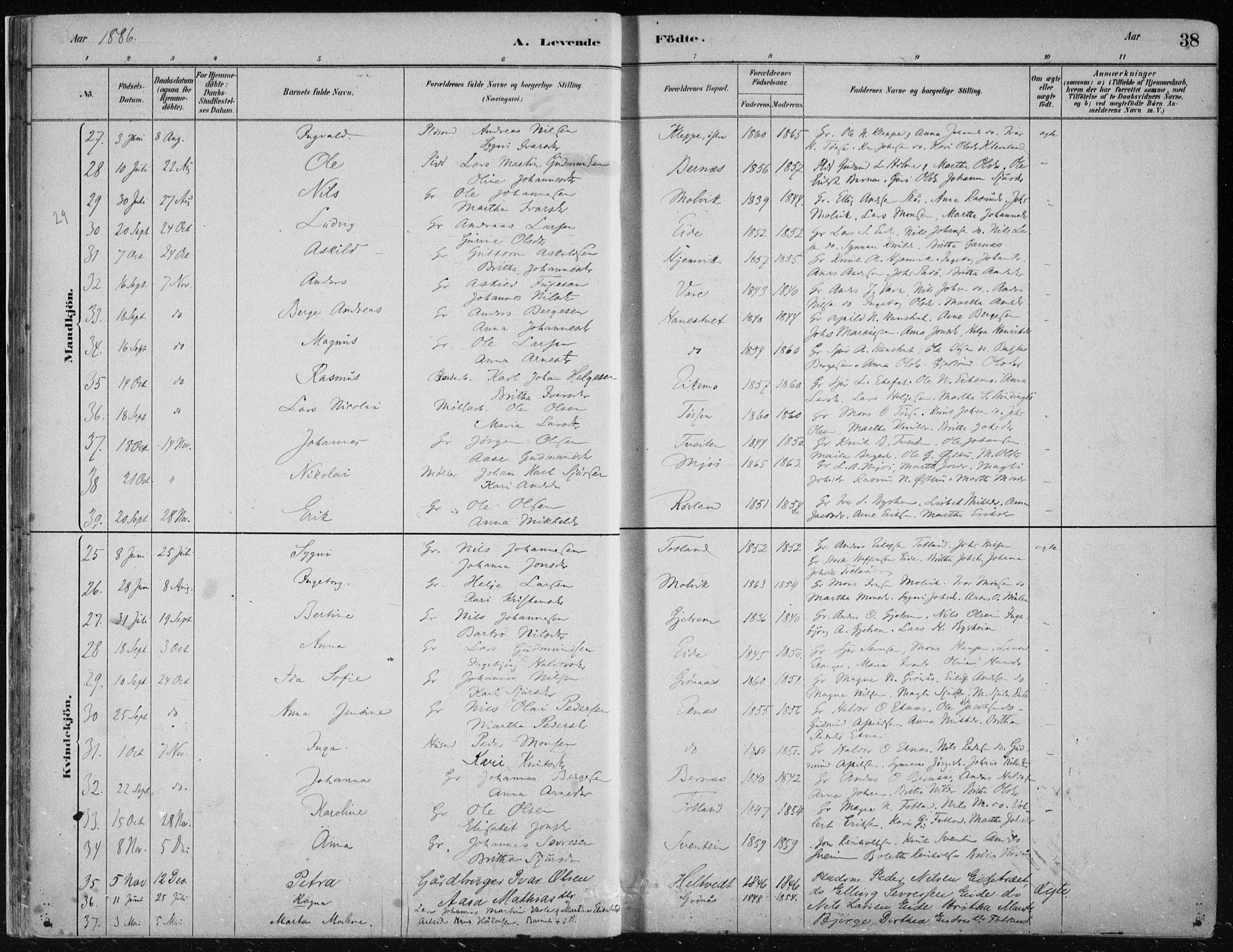 Hosanger sokneprestembete, AV/SAB-A-75801/H/Haa: Parish register (official) no. B  1, 1880-1896, p. 38