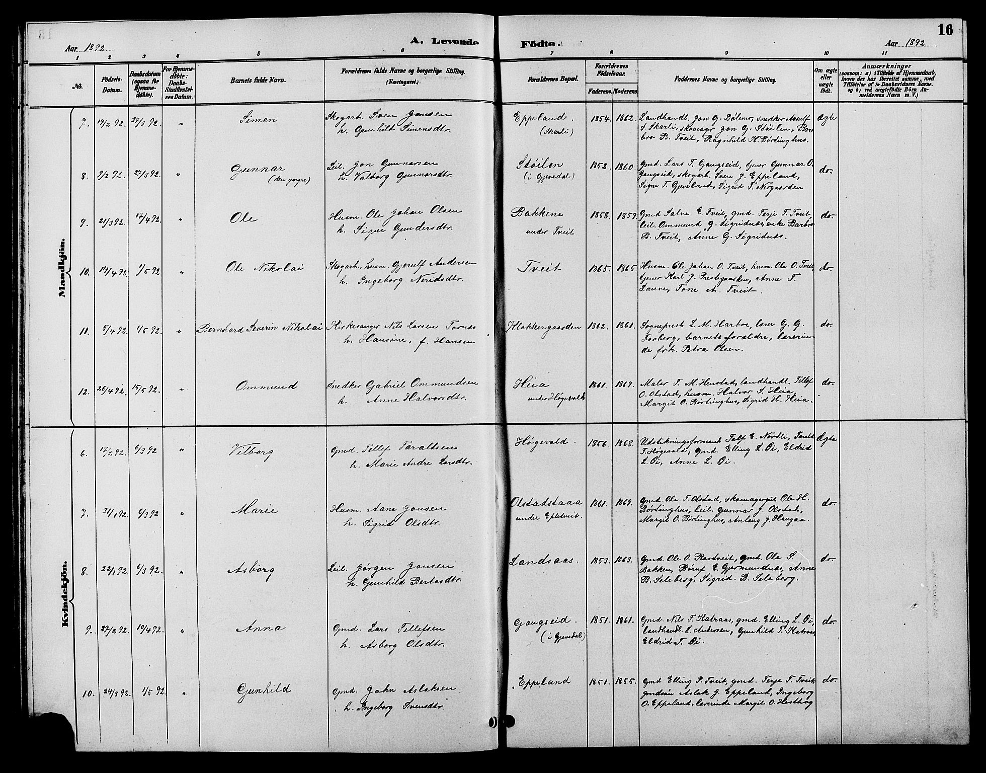 Åmli sokneprestkontor, SAK/1111-0050/F/Fb/Fbc/L0004: Parish register (copy) no. B 4, 1889-1902, p. 16