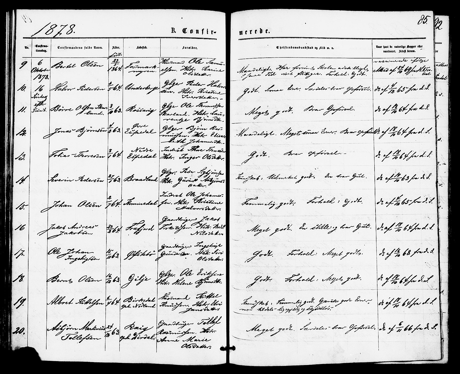Høgsfjord sokneprestkontor, AV/SAST-A-101624/H/Ha/Haa/L0004: Parish register (official) no. A 4, 1876-1884, p. 85