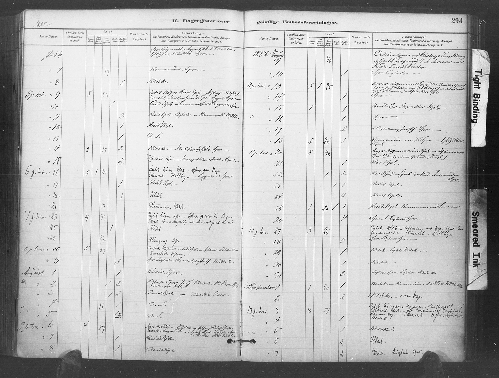 Kristiansand domprosti, AV/SAK-1112-0006/F/Fa/L0018: Parish register (official) no. A 17, 1880-1892, p. 293