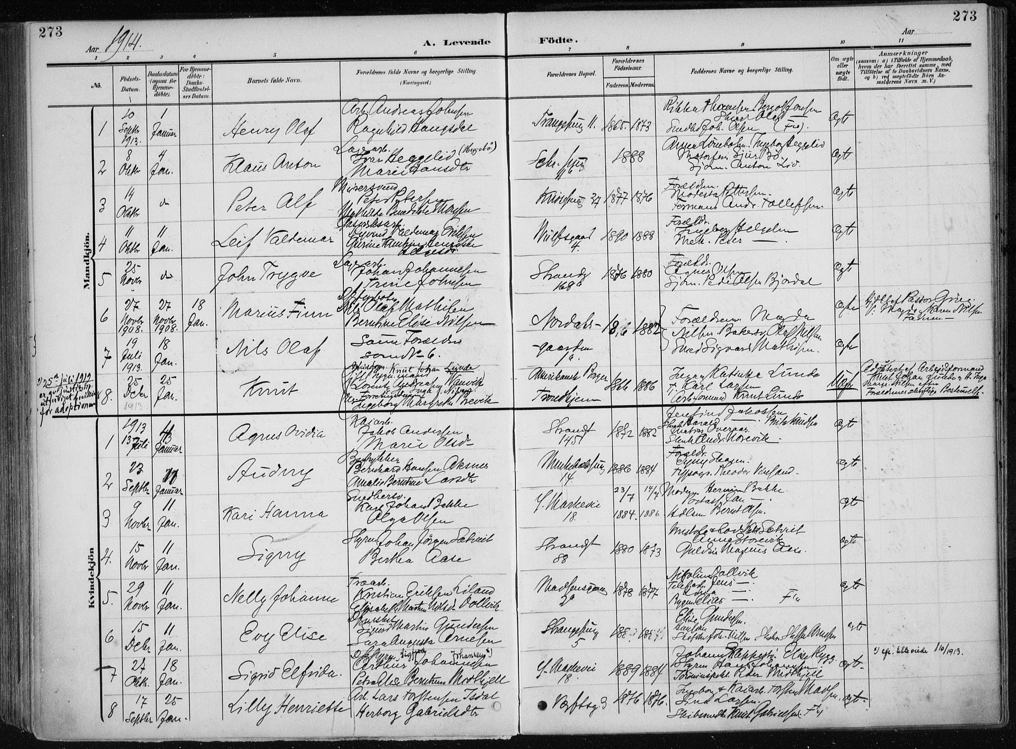 Nykirken Sokneprestembete, AV/SAB-A-77101/H/Haa/L0019: Parish register (official) no. B 7, 1904-1916, p. 273