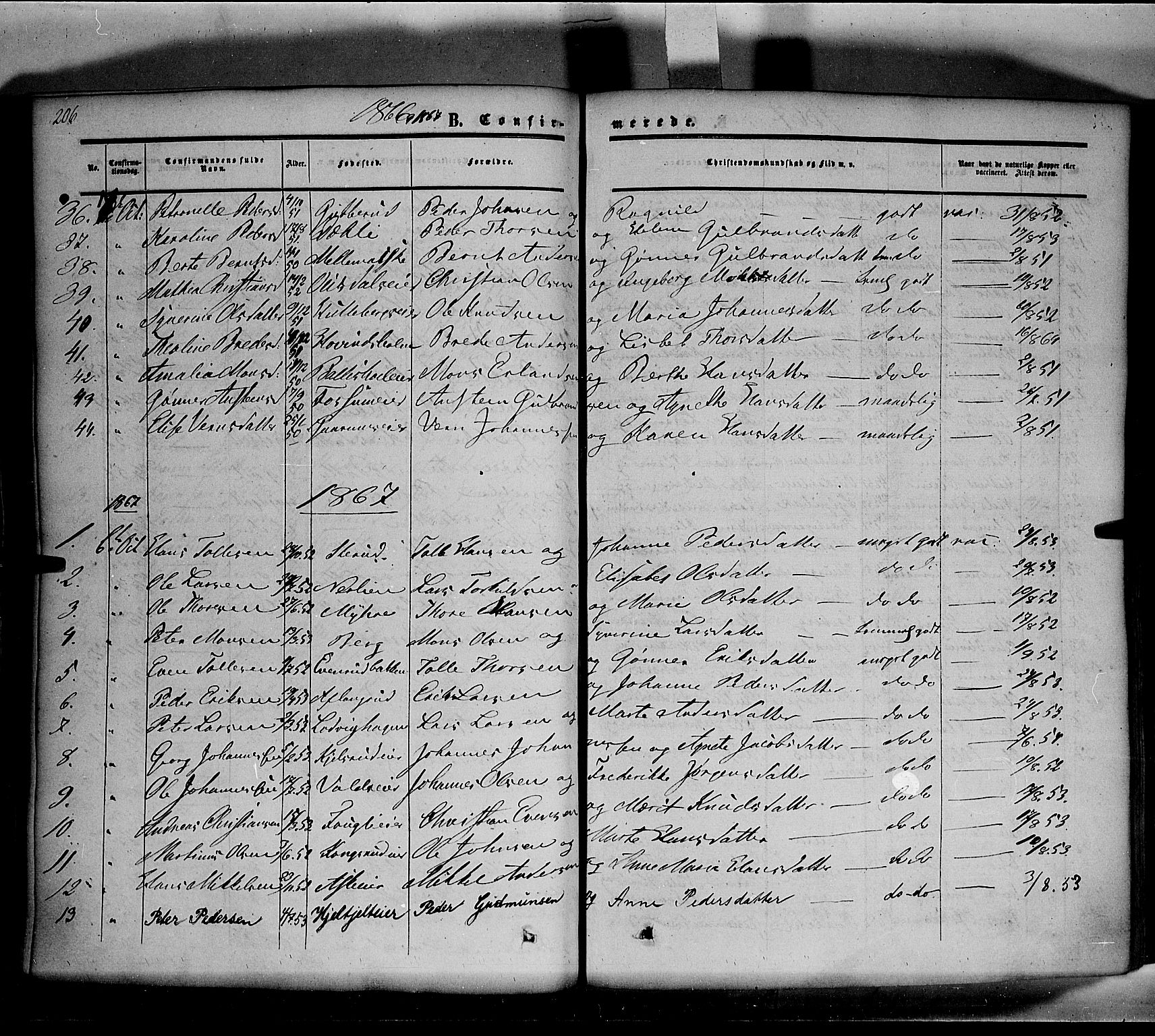 Nes prestekontor, Hedmark, SAH/PREST-020/K/Ka/L0004: Parish register (official) no. 4, 1852-1886, p. 206