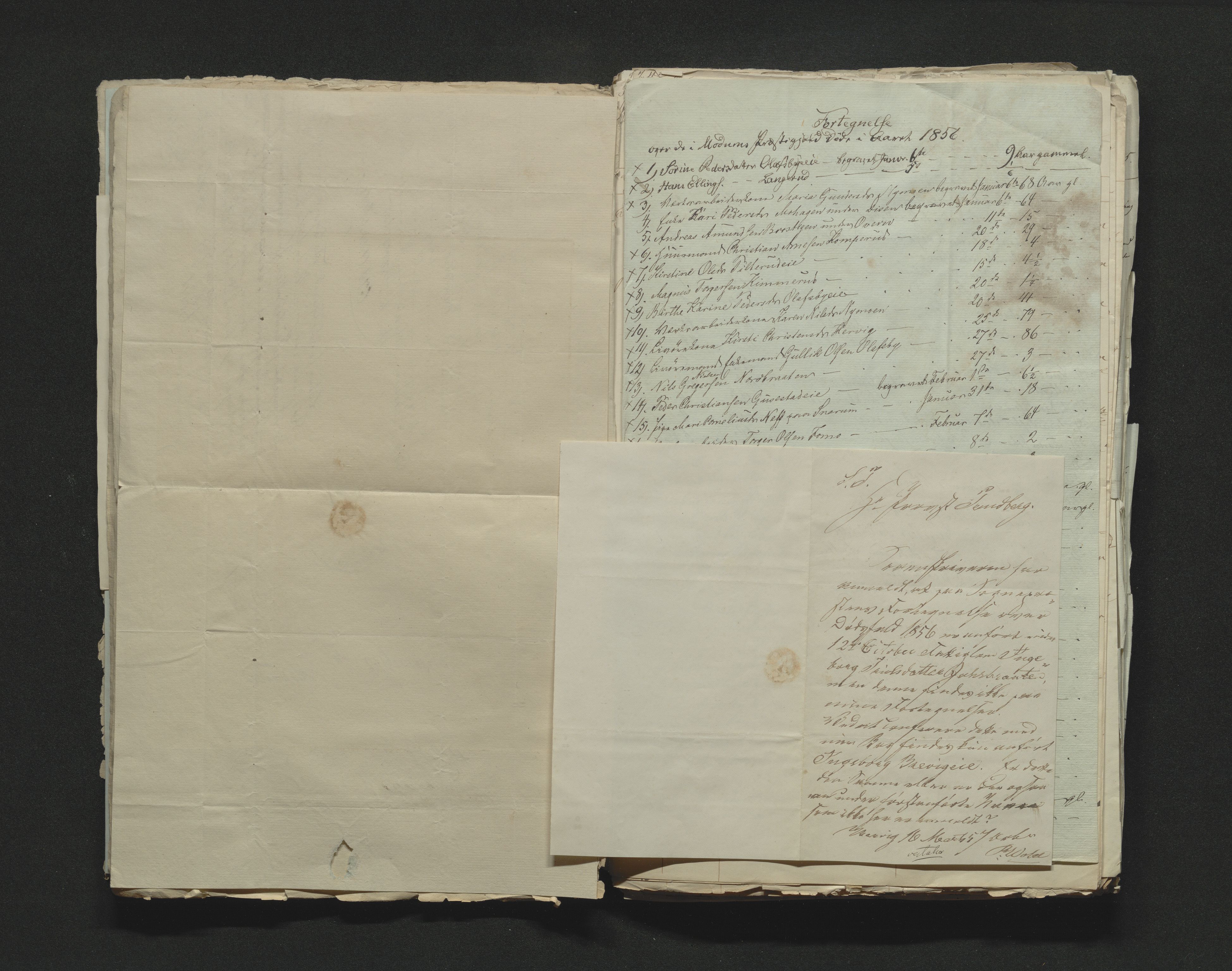 Eiker, Modum og Sigdal sorenskriveri, AV/SAKO-A-123/H/Ha/Hab/L0009: Dødsfallsmeldinger, 1854-1857, p. 301