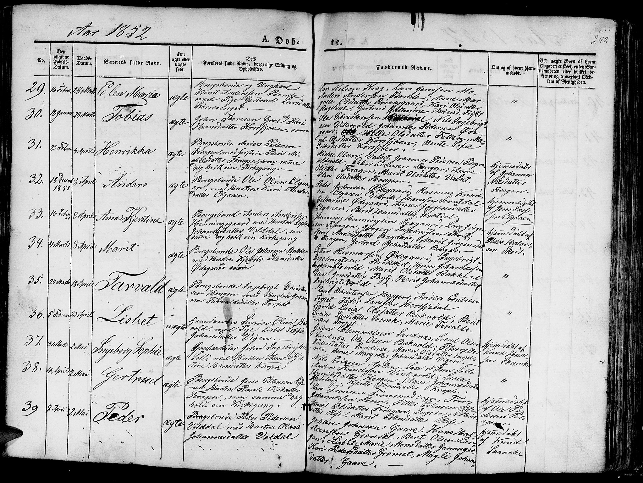 Ministerialprotokoller, klokkerbøker og fødselsregistre - Sør-Trøndelag, AV/SAT-A-1456/681/L0938: Parish register (copy) no. 681C02, 1829-1879, p. 242