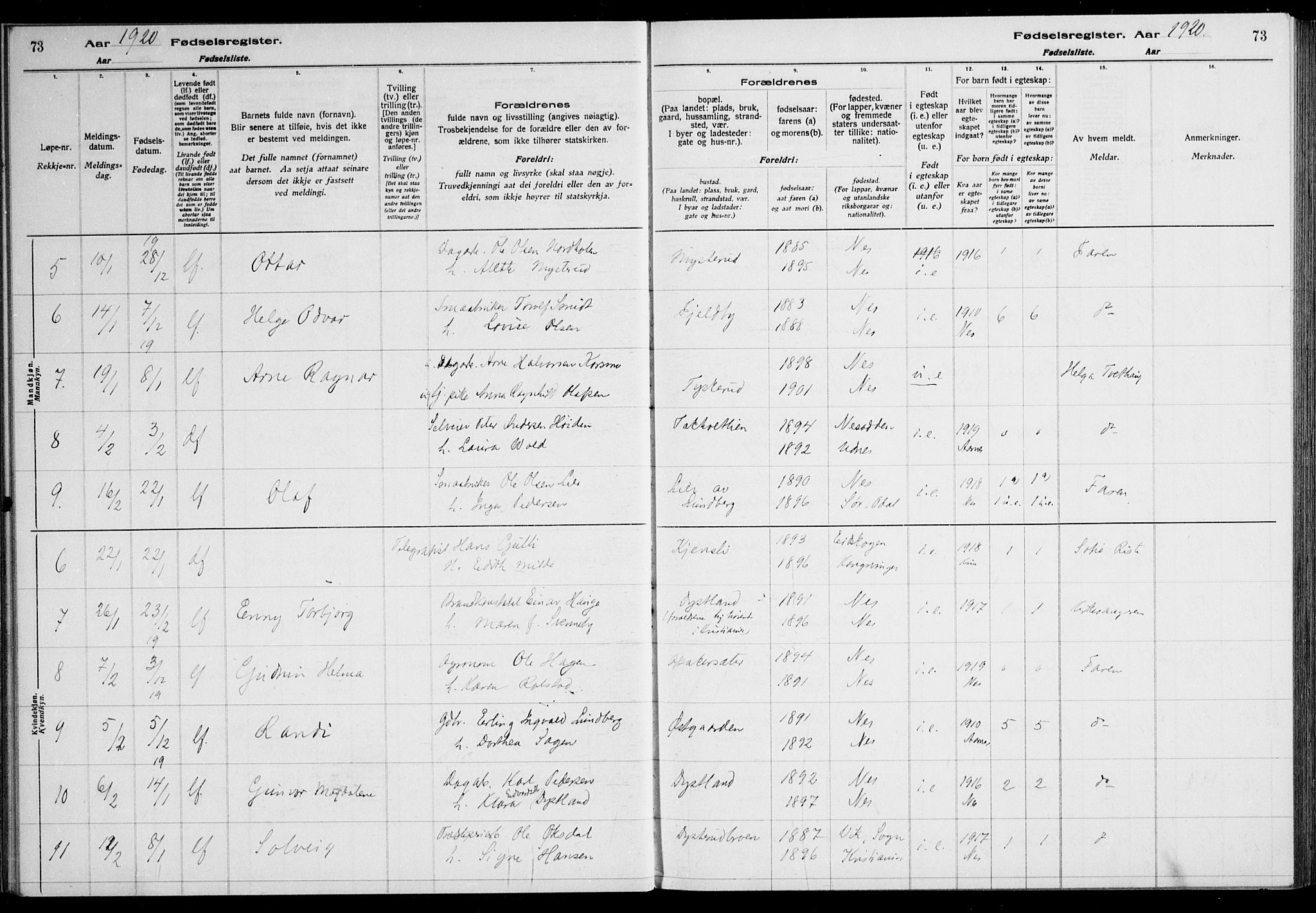 Nes prestekontor Kirkebøker, AV/SAO-A-10410/J/Ja/L0001: Birth register no. 1, 1916-1926, p. 73