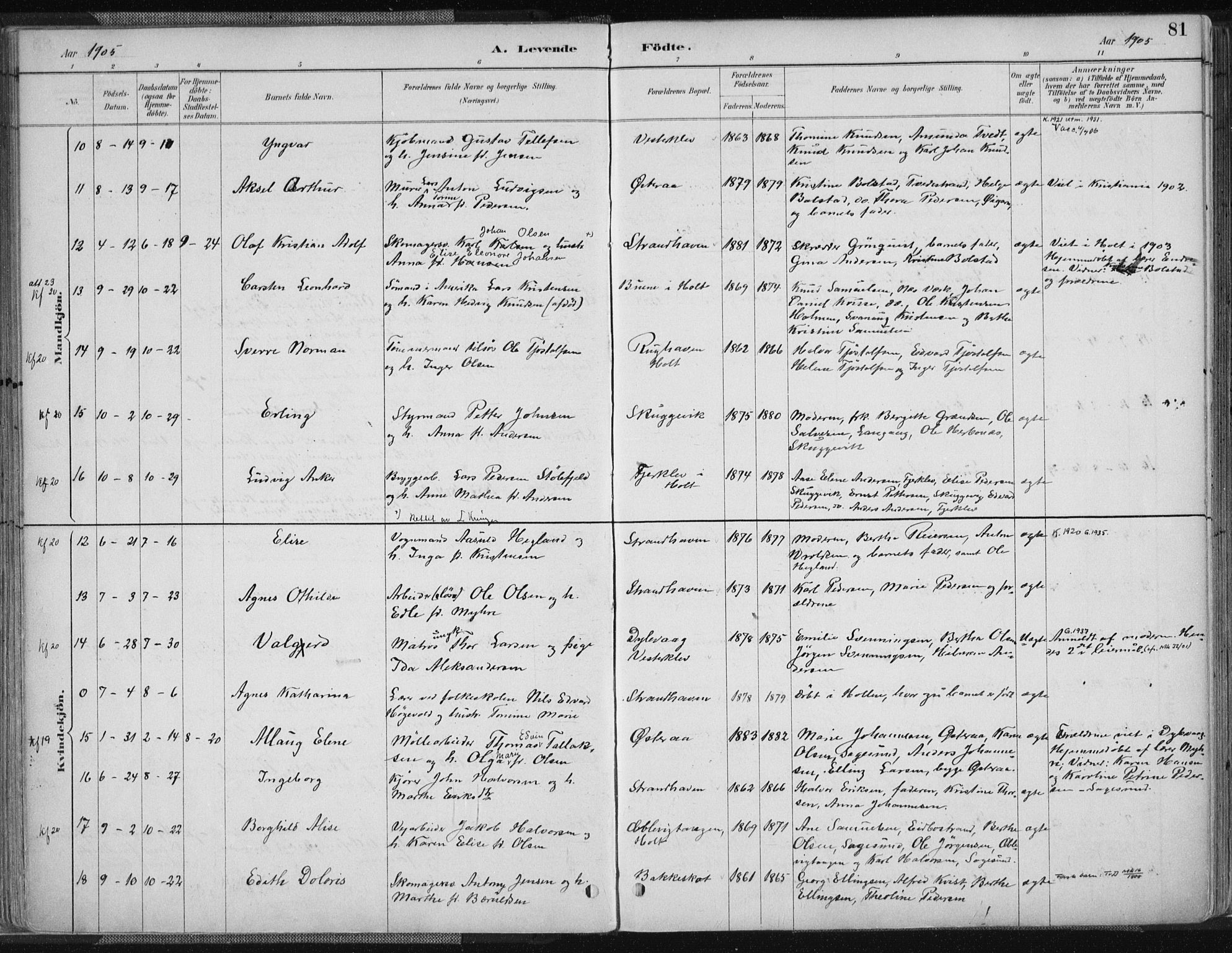 Tvedestrand sokneprestkontor, AV/SAK-1111-0042/F/Fa/L0001: Parish register (official) no. A 1, 1885-1916, p. 81