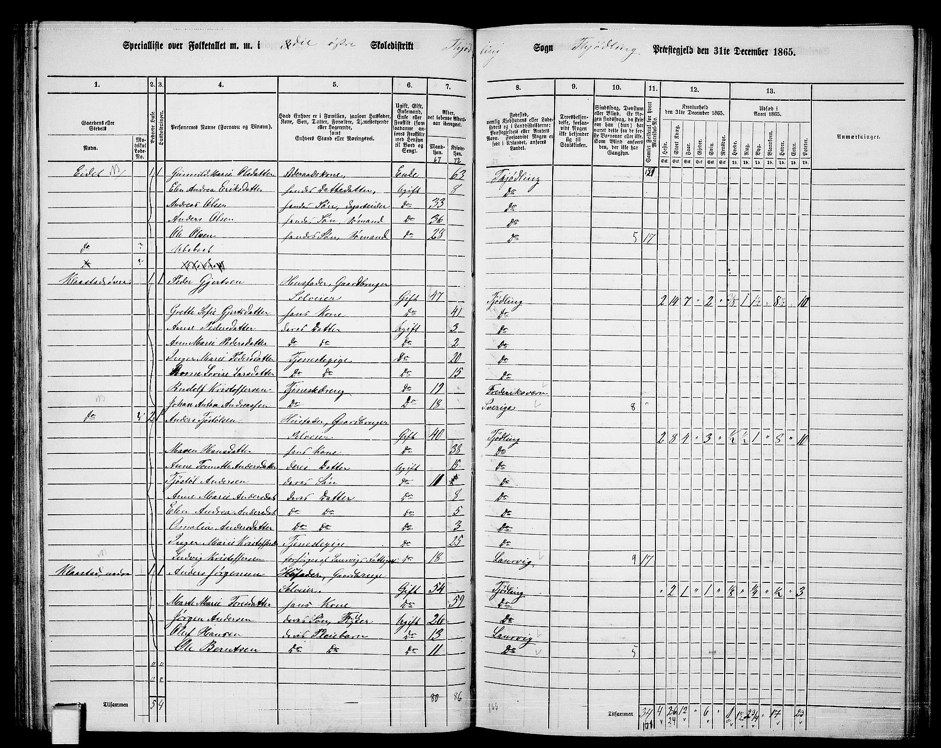 RA, 1865 census for Tjølling, 1865, p. 107