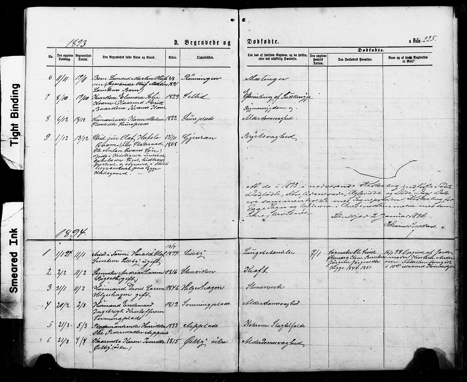 Ministerialprotokoller, klokkerbøker og fødselsregistre - Nord-Trøndelag, SAT/A-1458/740/L0380: Parish register (copy) no. 740C01, 1868-1902, p. 225