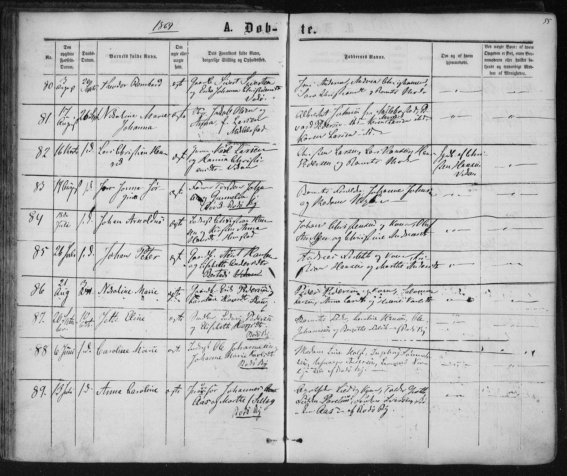 Ministerialprotokoller, klokkerbøker og fødselsregistre - Nordland, AV/SAT-A-1459/801/L0008: Parish register (official) no. 801A08, 1864-1875, p. 55