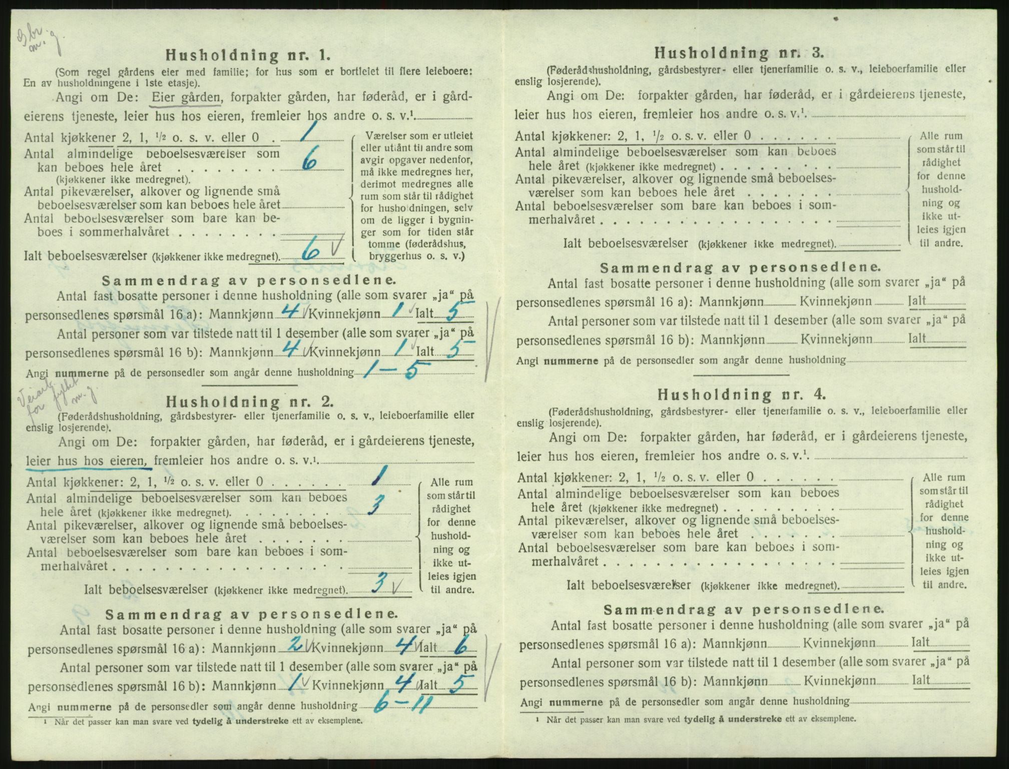 SAK, 1920 census for Hornnes, 1920, p. 200