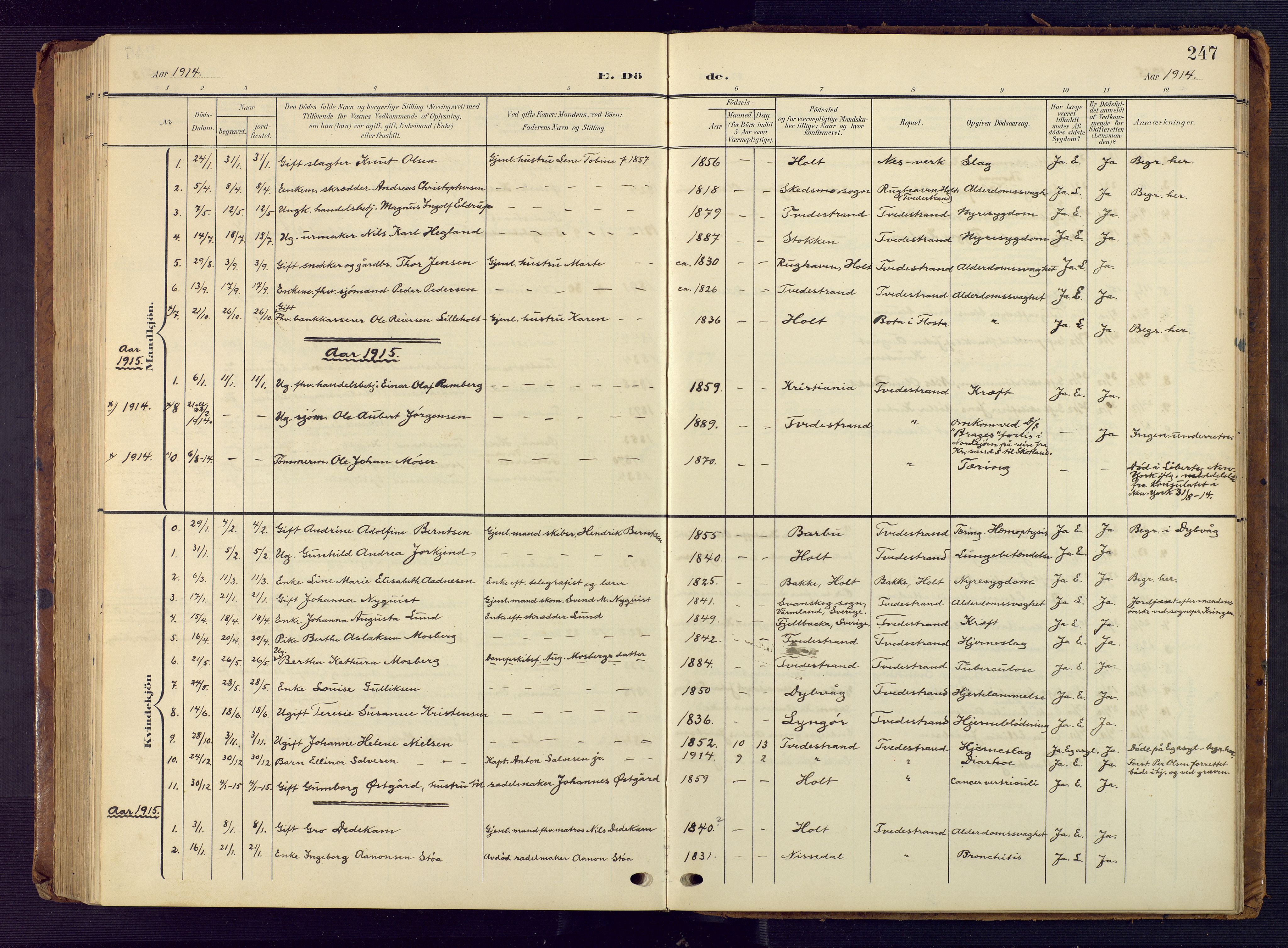 Tvedestrand sokneprestkontor, AV/SAK-1111-0042/F/Fb/L0001: Parish register (copy) no. B 1, 1902-1956, p. 247