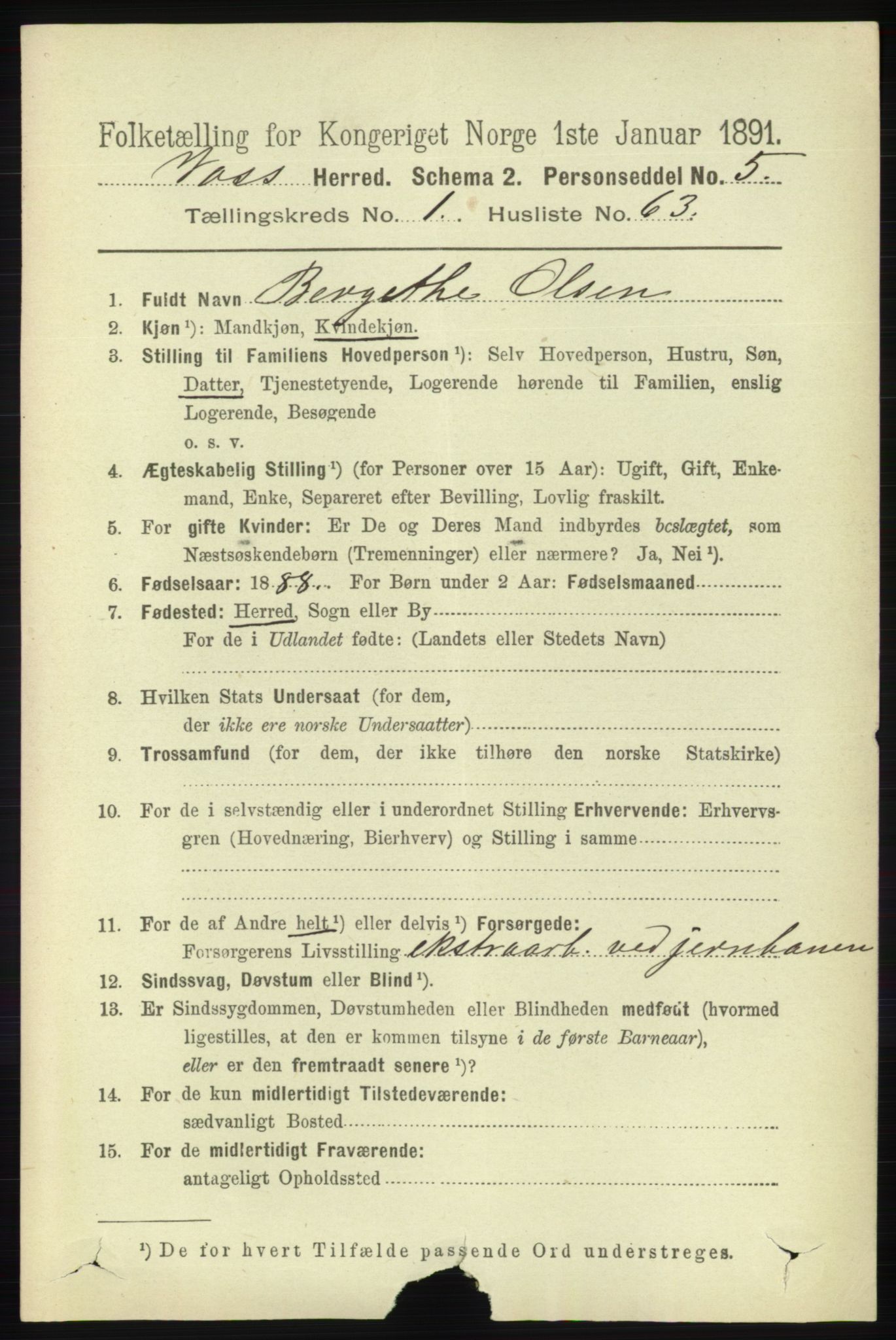 RA, 1891 census for 1235 Voss, 1891, p. 540