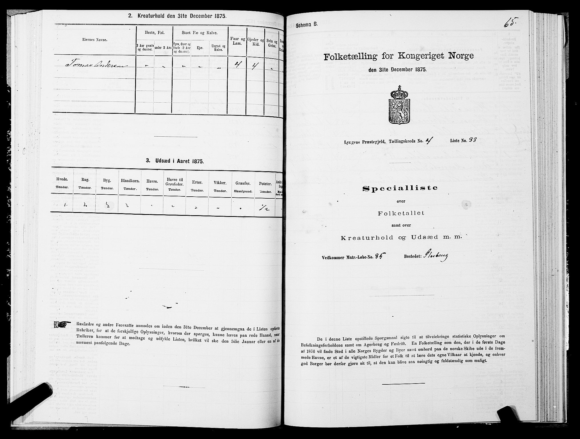 SATØ, 1875 census for 1938P Lyngen, 1875, p. 4065