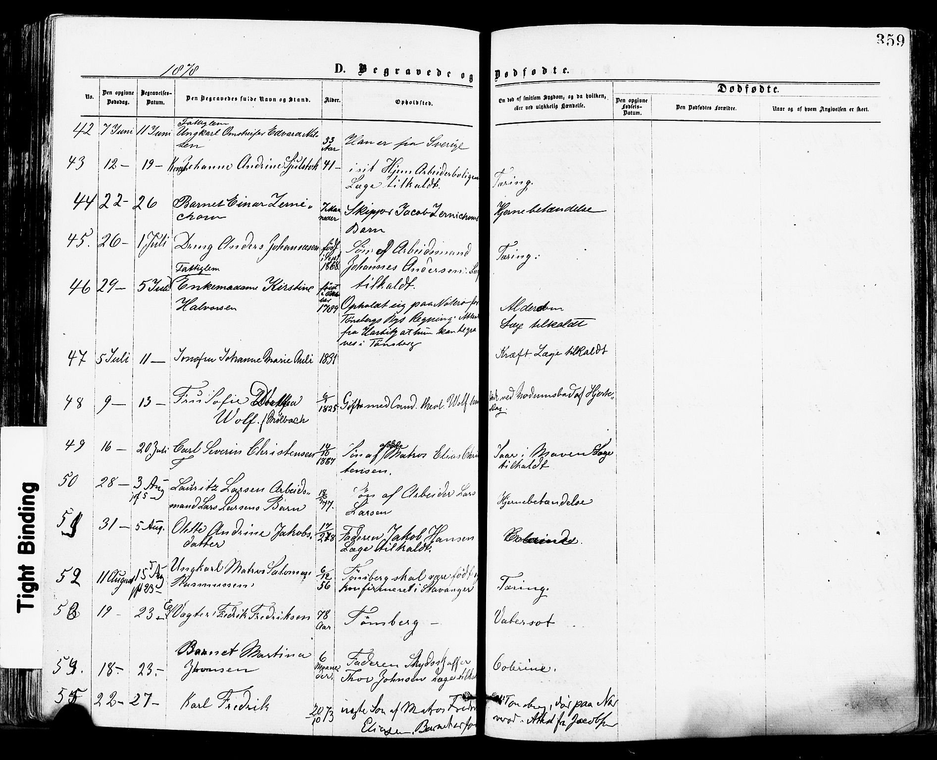 Tønsberg kirkebøker, SAKO/A-330/F/Fa/L0010: Parish register (official) no. I 10, 1874-1880, p. 359