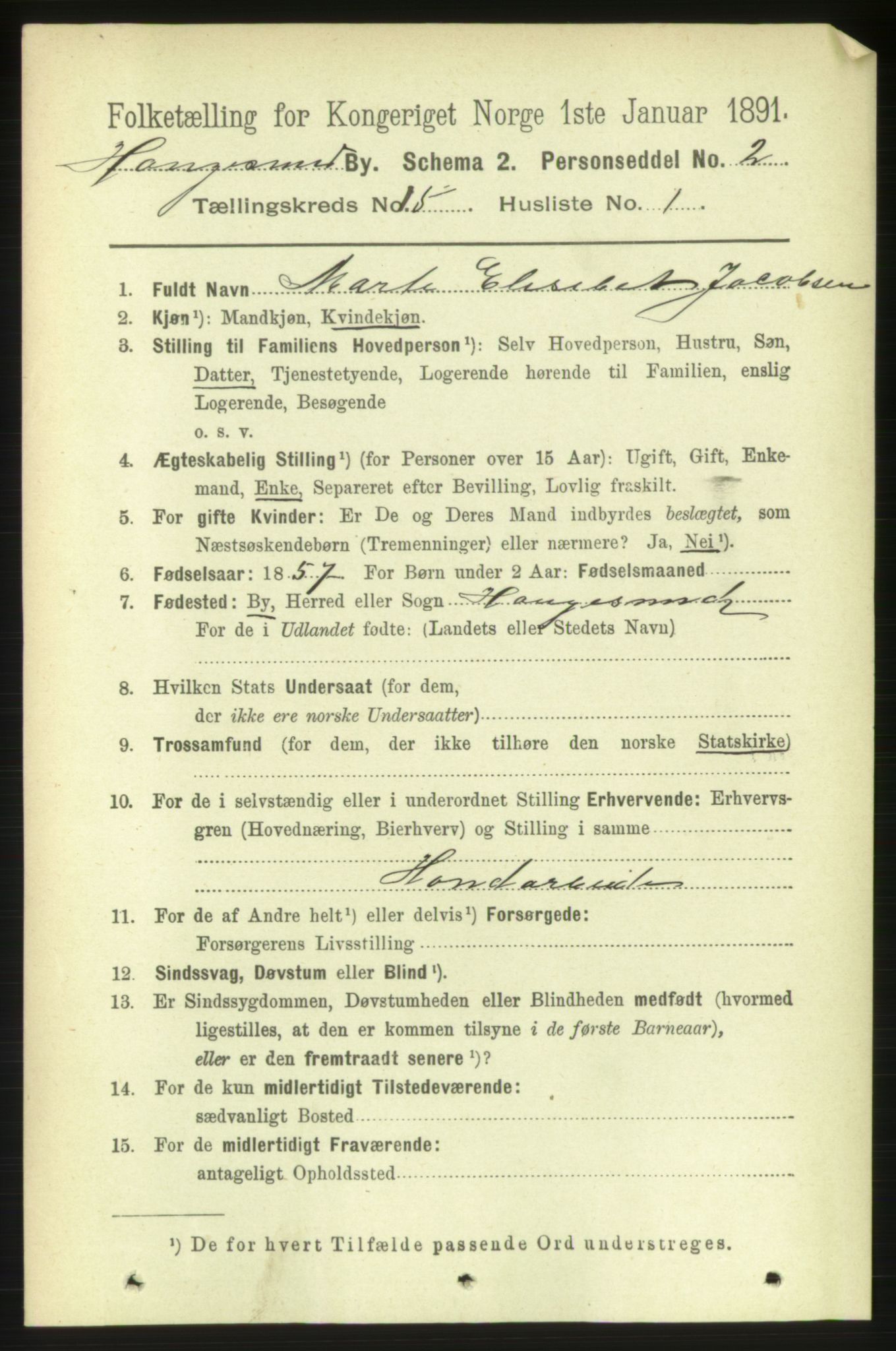 RA, 1891 census for 1106 Haugesund, 1891, p. 4905