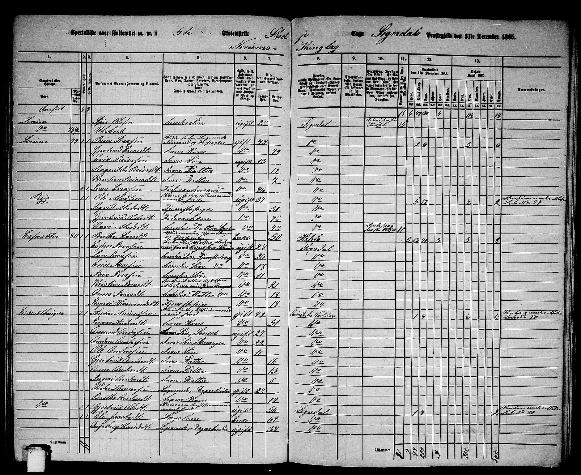 RA, 1865 census for Sogndal, 1865, p. 100