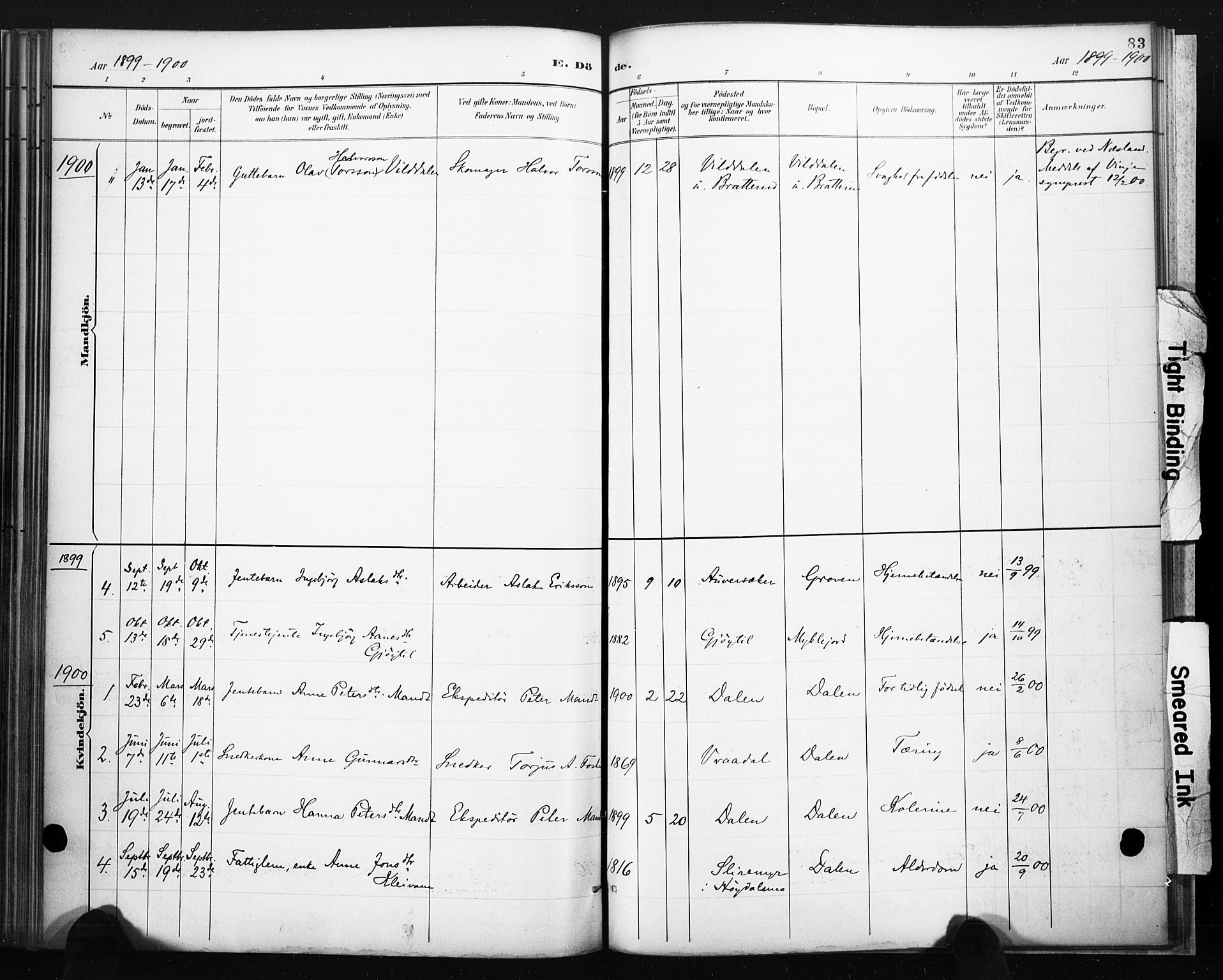 Lårdal kirkebøker, SAKO/A-284/F/Fb/L0002: Parish register (official) no. II 2, 1887-1918, p. 83