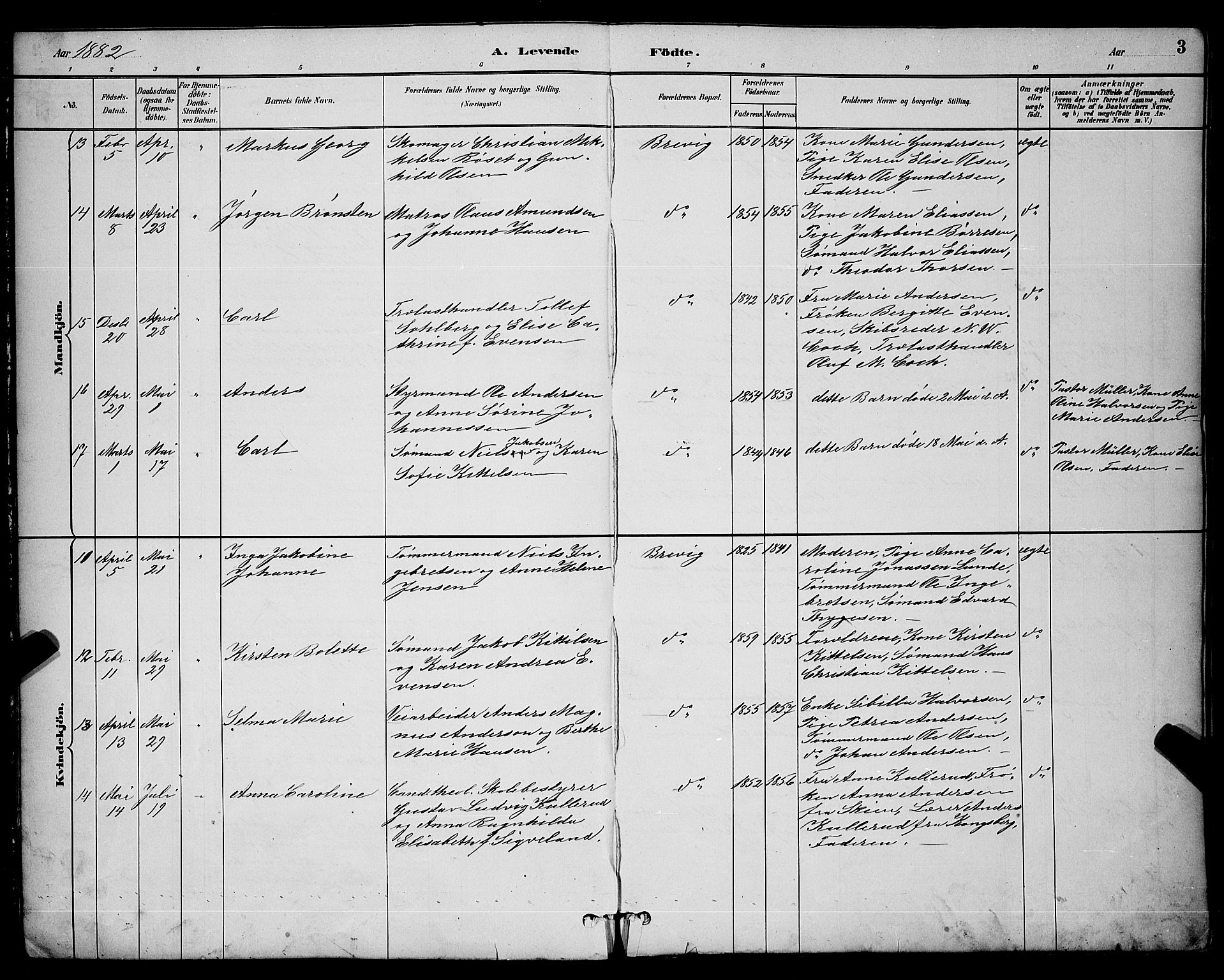 Brevik kirkebøker, AV/SAKO-A-255/G/Ga/L0004: Parish register (copy) no. 4, 1882-1900, p. 3