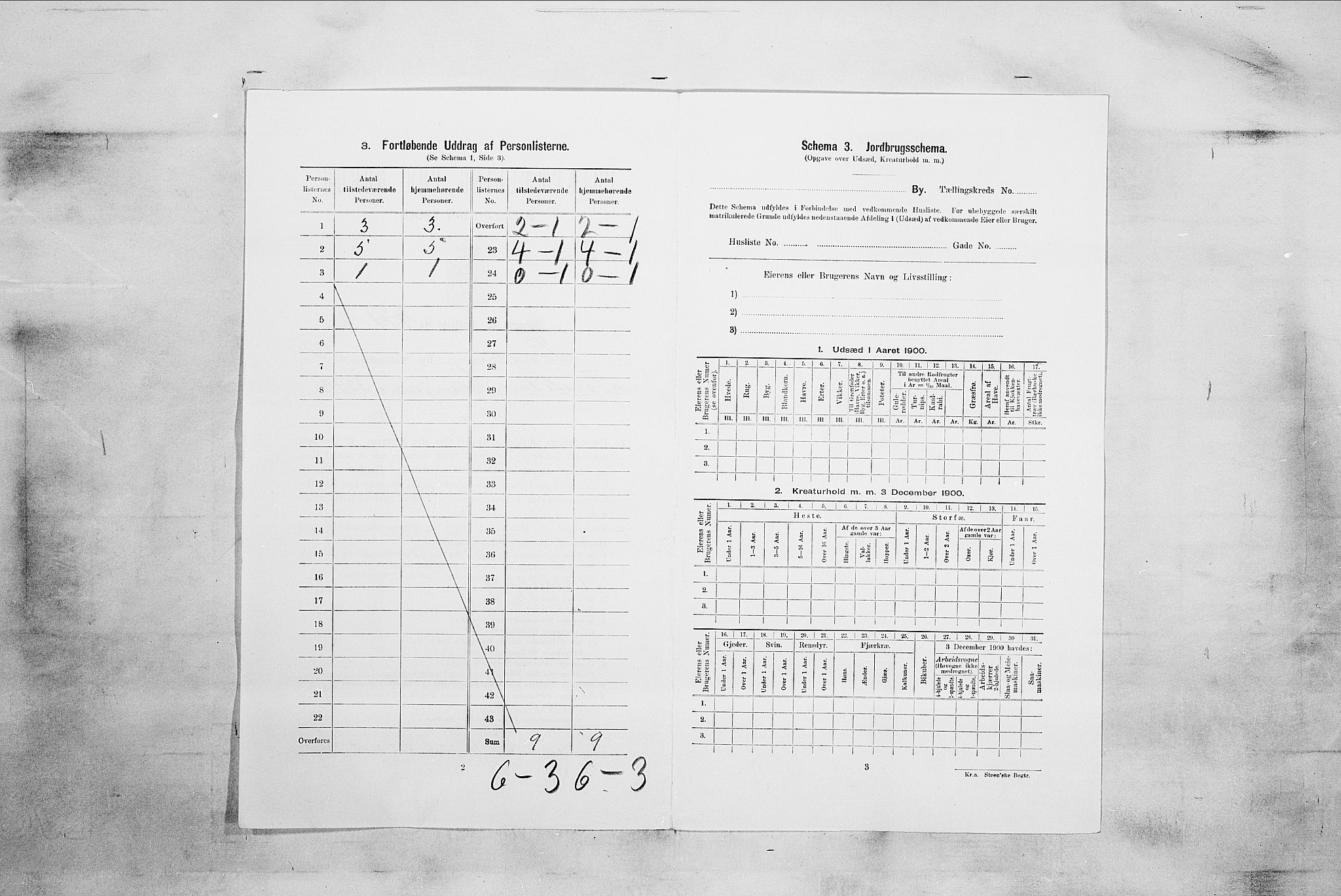 RA, 1900 census for Tønsberg, 1900, p. 3756