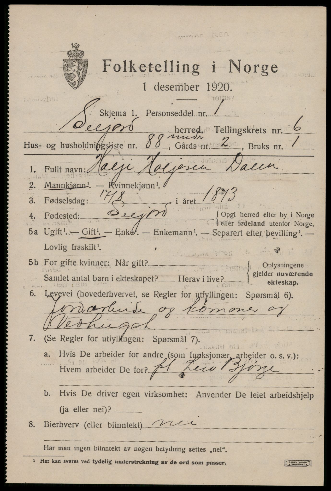 SAKO, 1920 census for Seljord, 1920, p. 3674