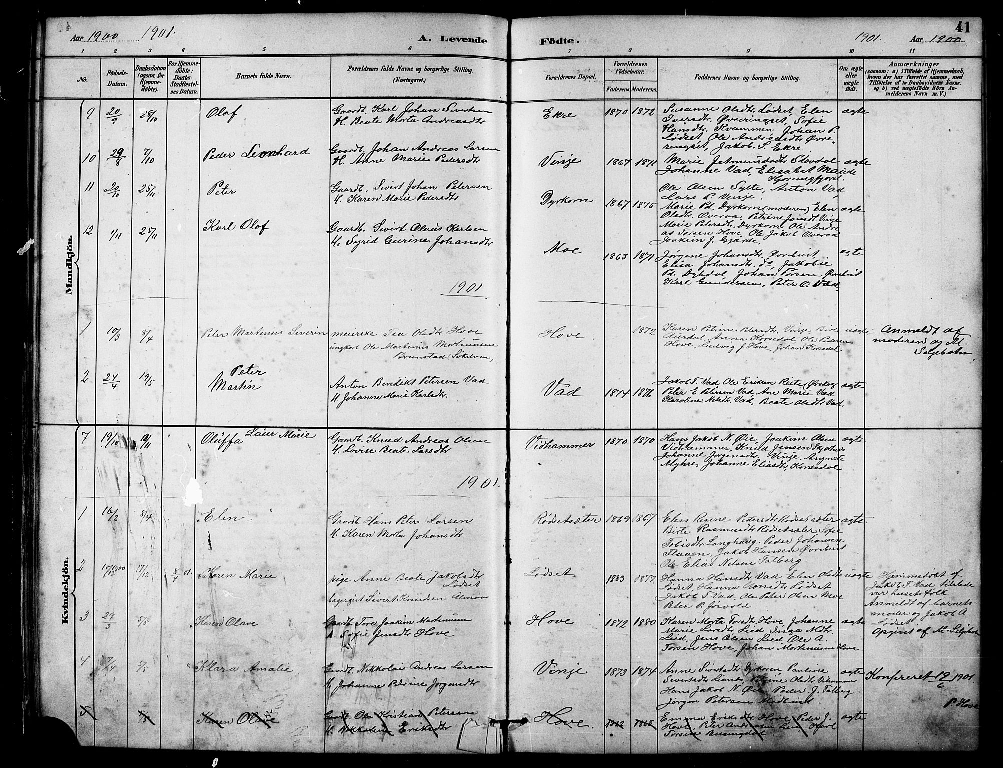 Ministerialprotokoller, klokkerbøker og fødselsregistre - Møre og Romsdal, AV/SAT-A-1454/521/L0302: Parish register (copy) no. 521C03, 1882-1907, p. 41